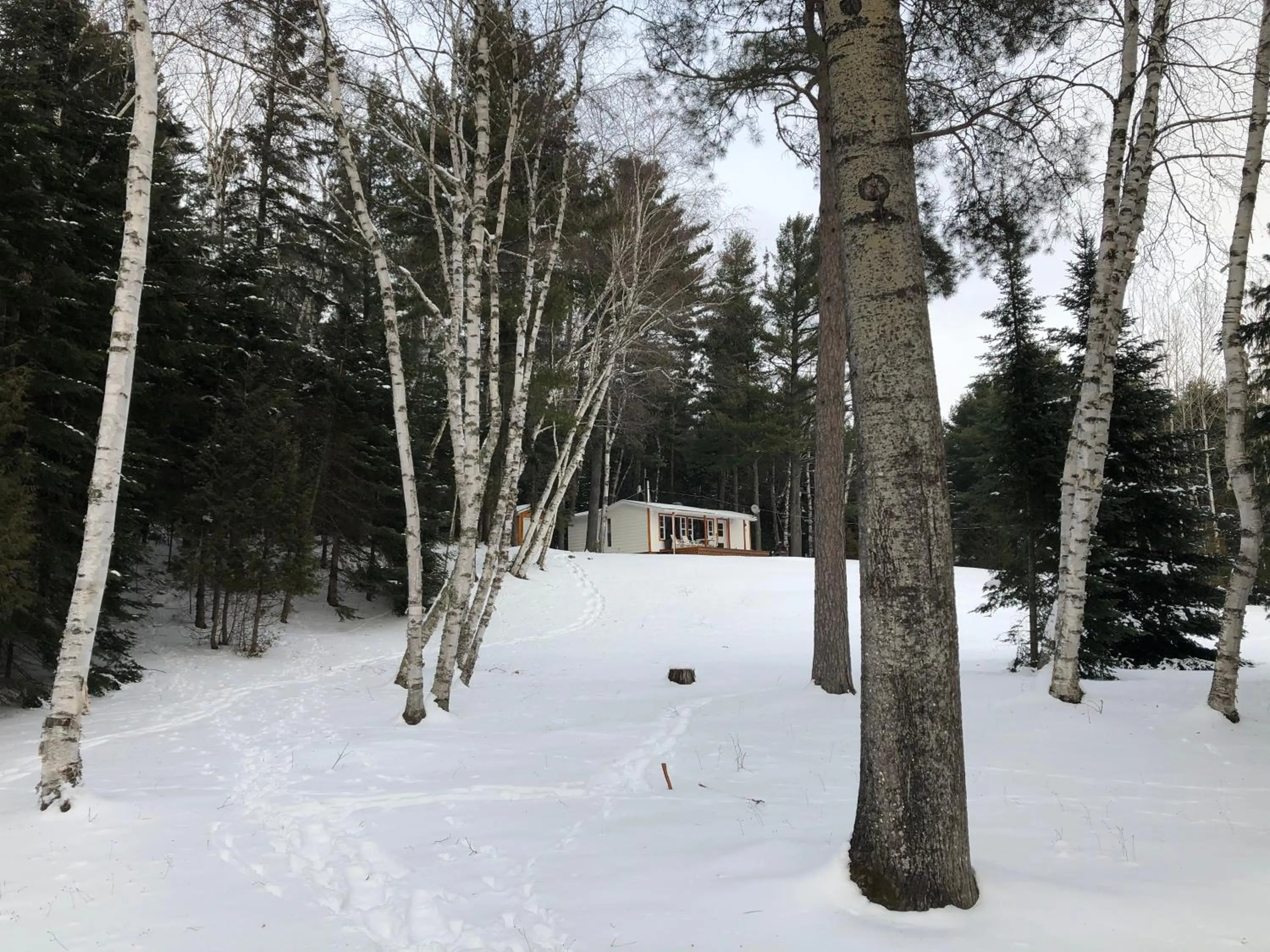 Location in Chalet Sous Les Pins