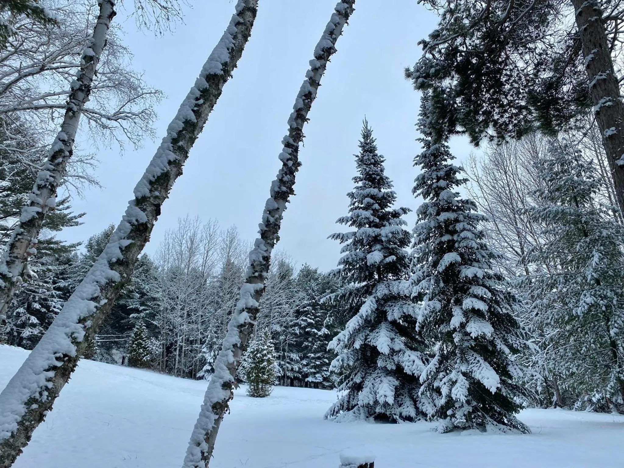 Winter in Chalet Sous Les Pins