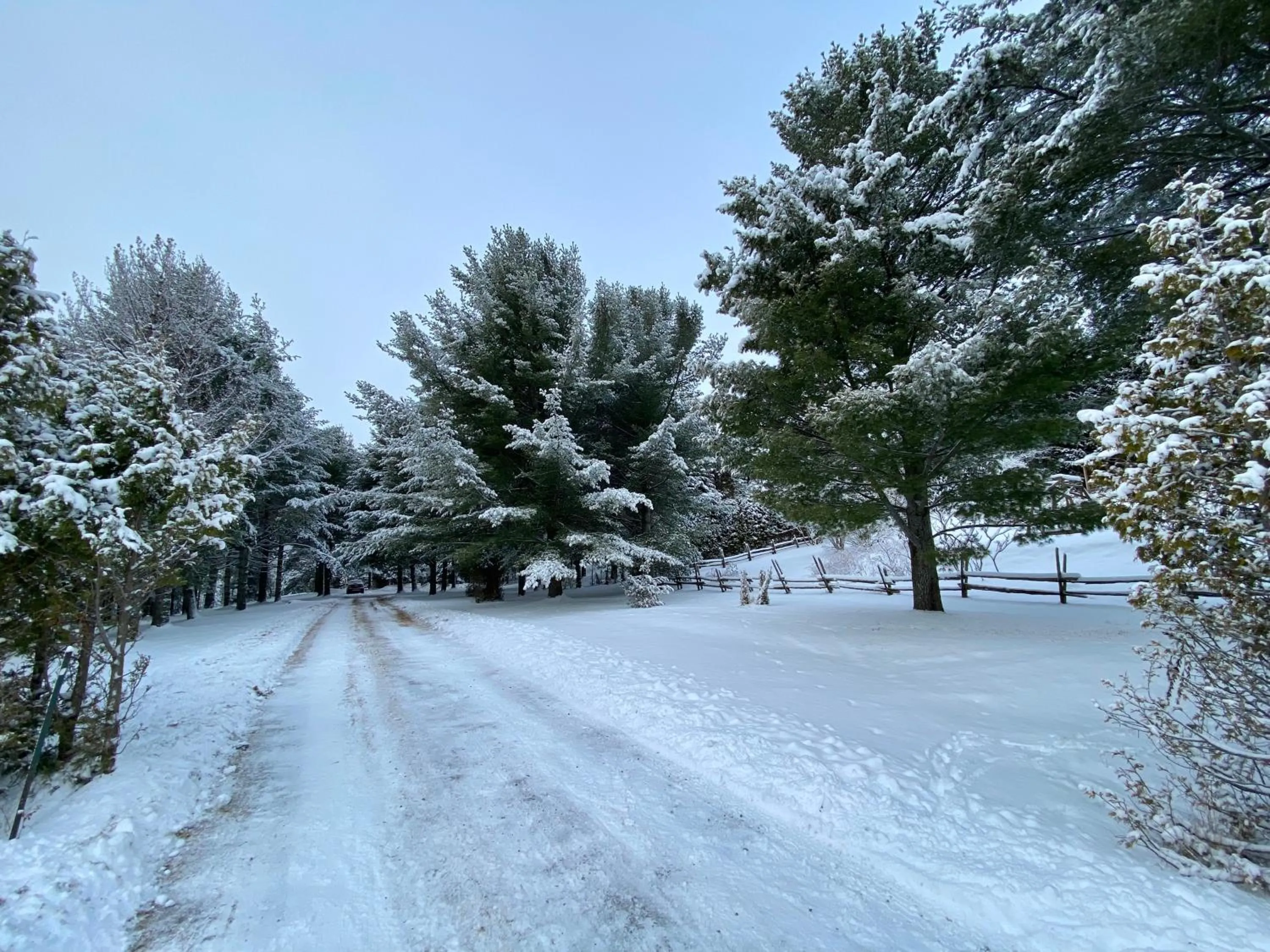 Winter in Chalet Sous Les Pins
