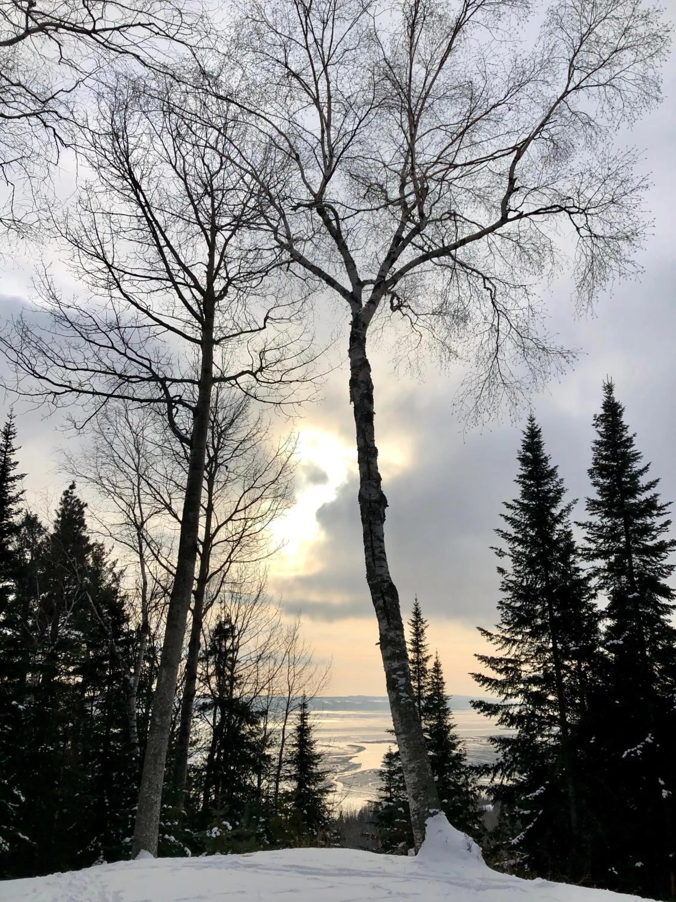 Natural landscape in Chalet Sous Les Pins