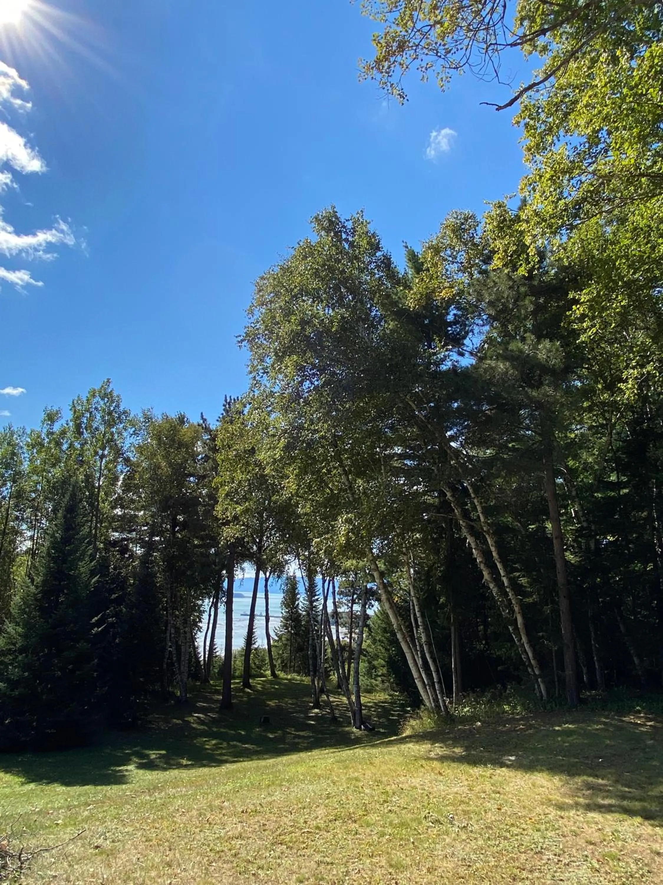 Day in Chalet Sous Les Pins