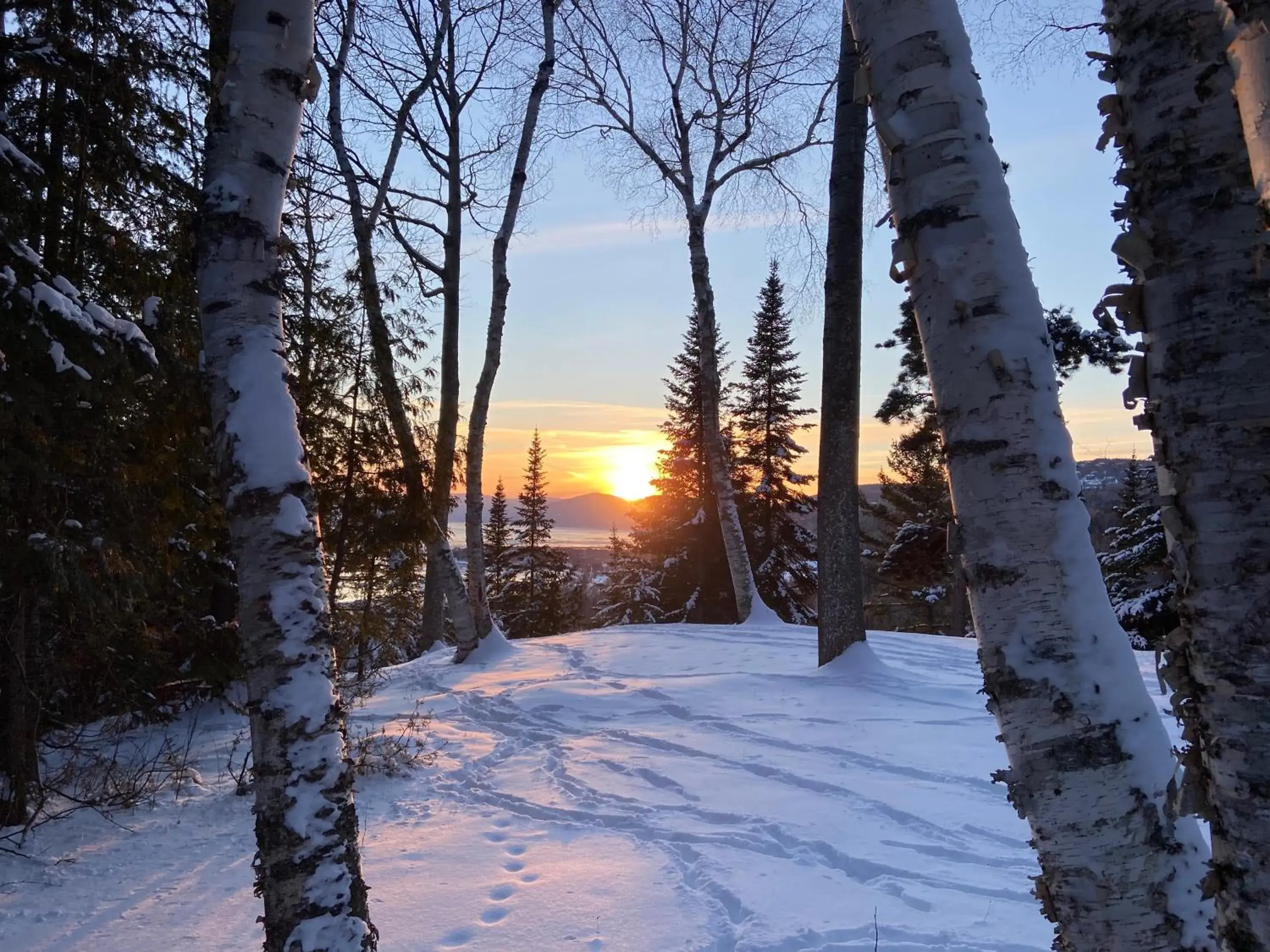 Chalet Sous Les Pins Chalet Sous Les Pins