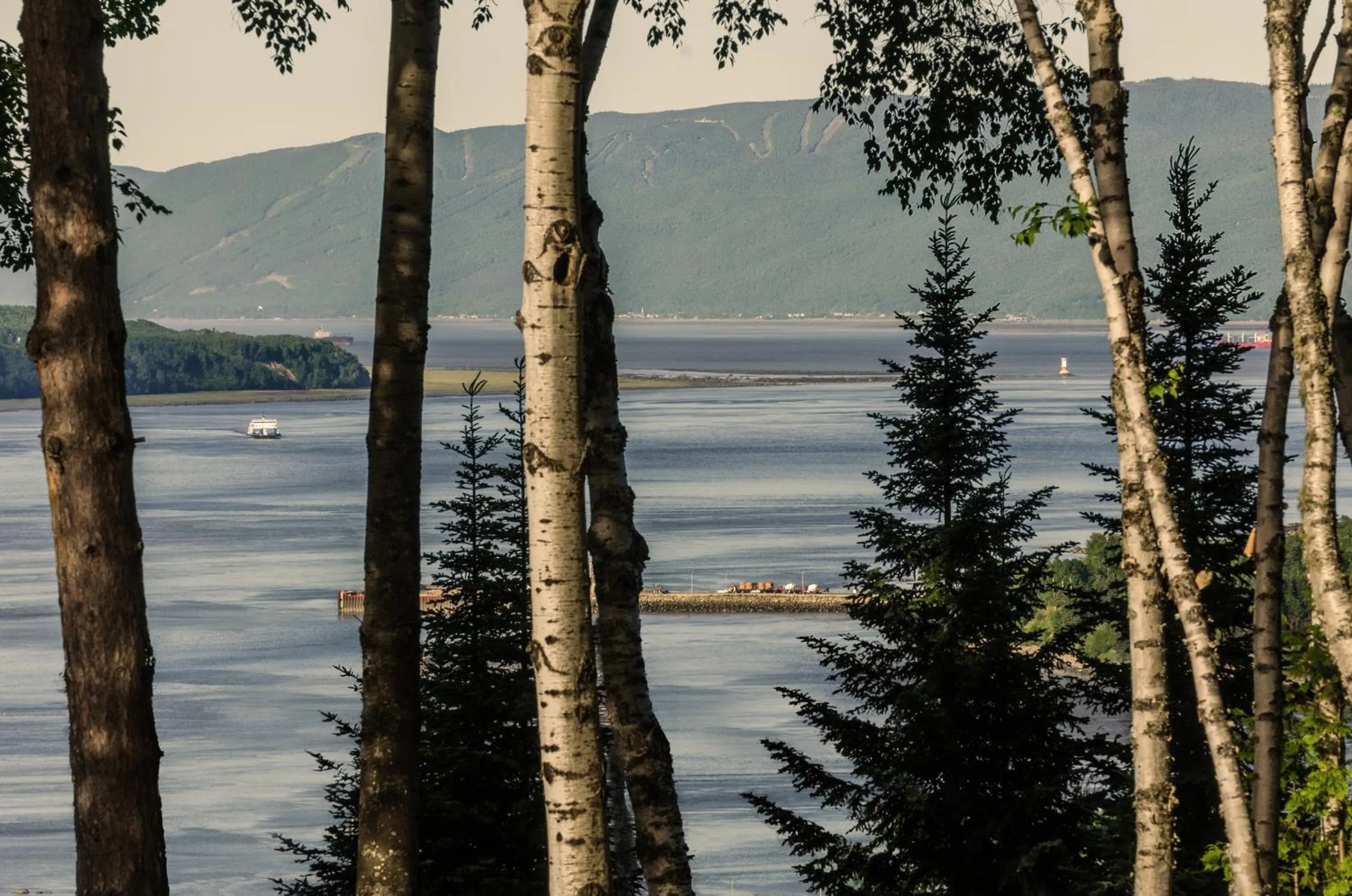River view in Chalet Sous Les Pins