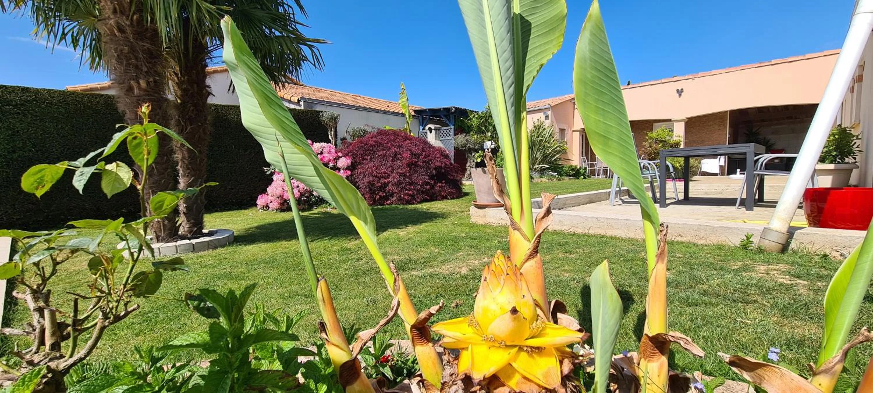 Garden in Le Pavachon gîte familial piscine couverte privée chauffée - Aux portes du Puy duFou