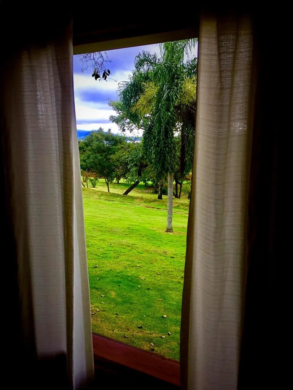 Garden in Obbá Coema Village Hotel