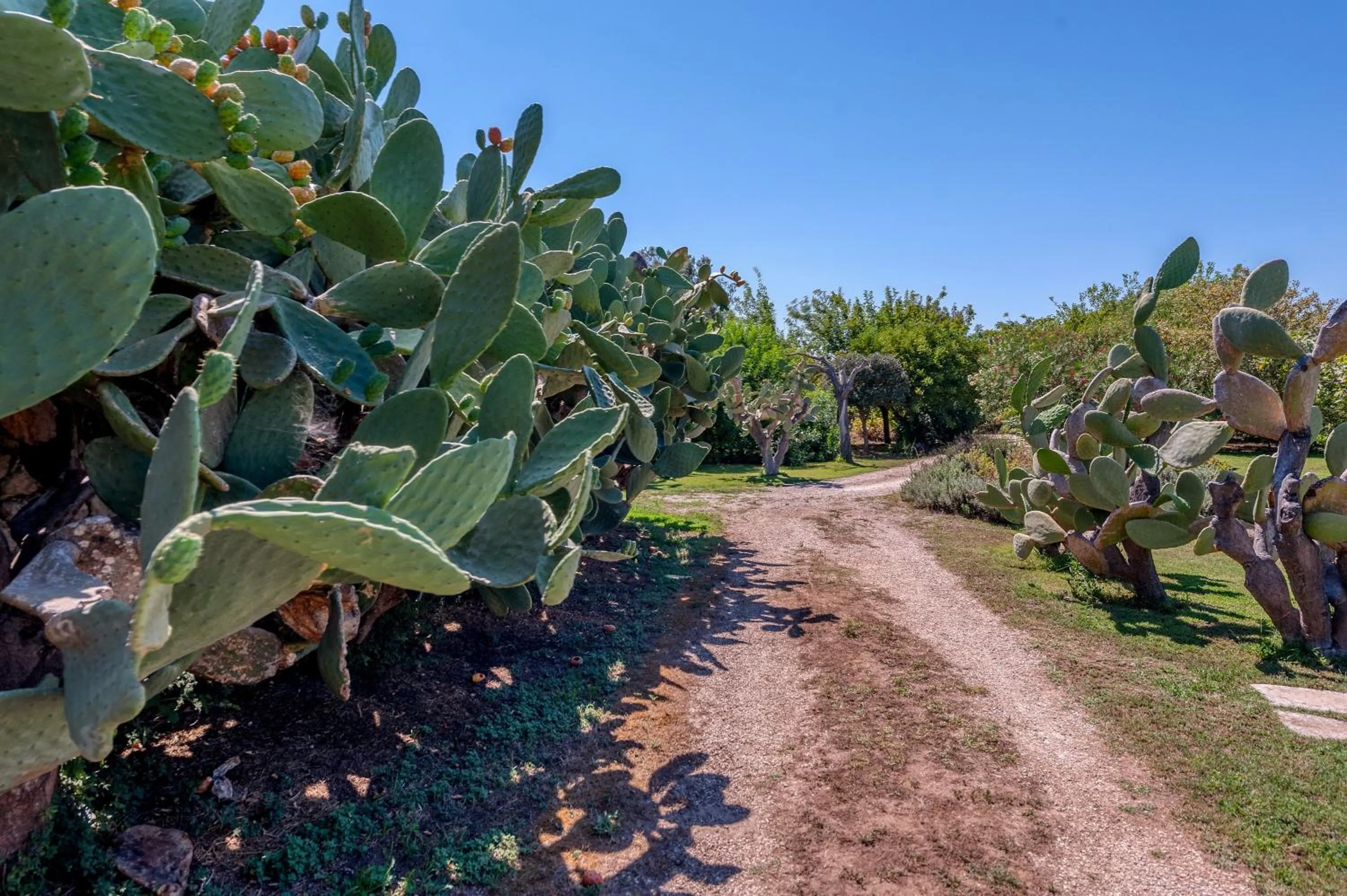Masseria Copertini