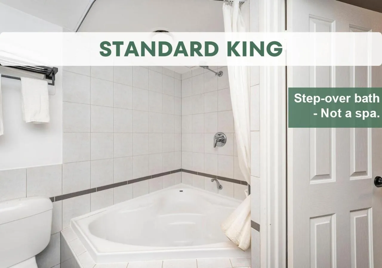 Shower in The Swan Valley Hotel