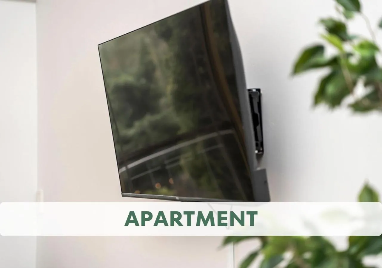 TV and multimedia in The Swan Valley Hotel