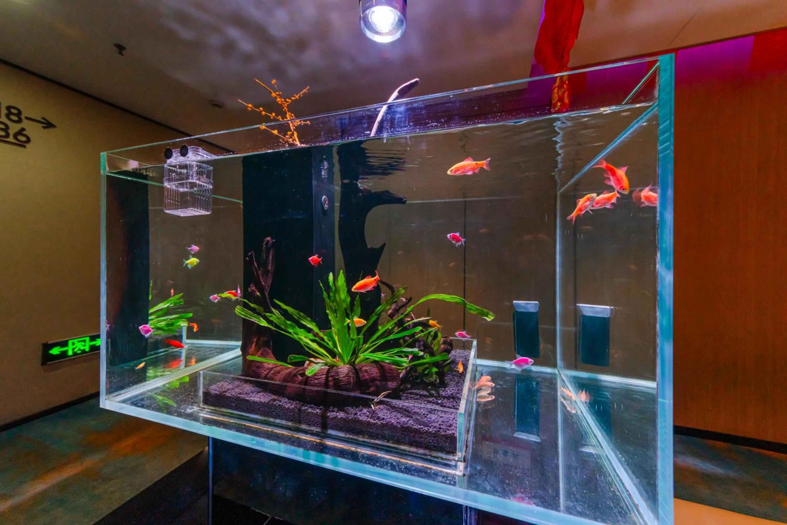 Lobby or reception in Chengdu Cosy Inn