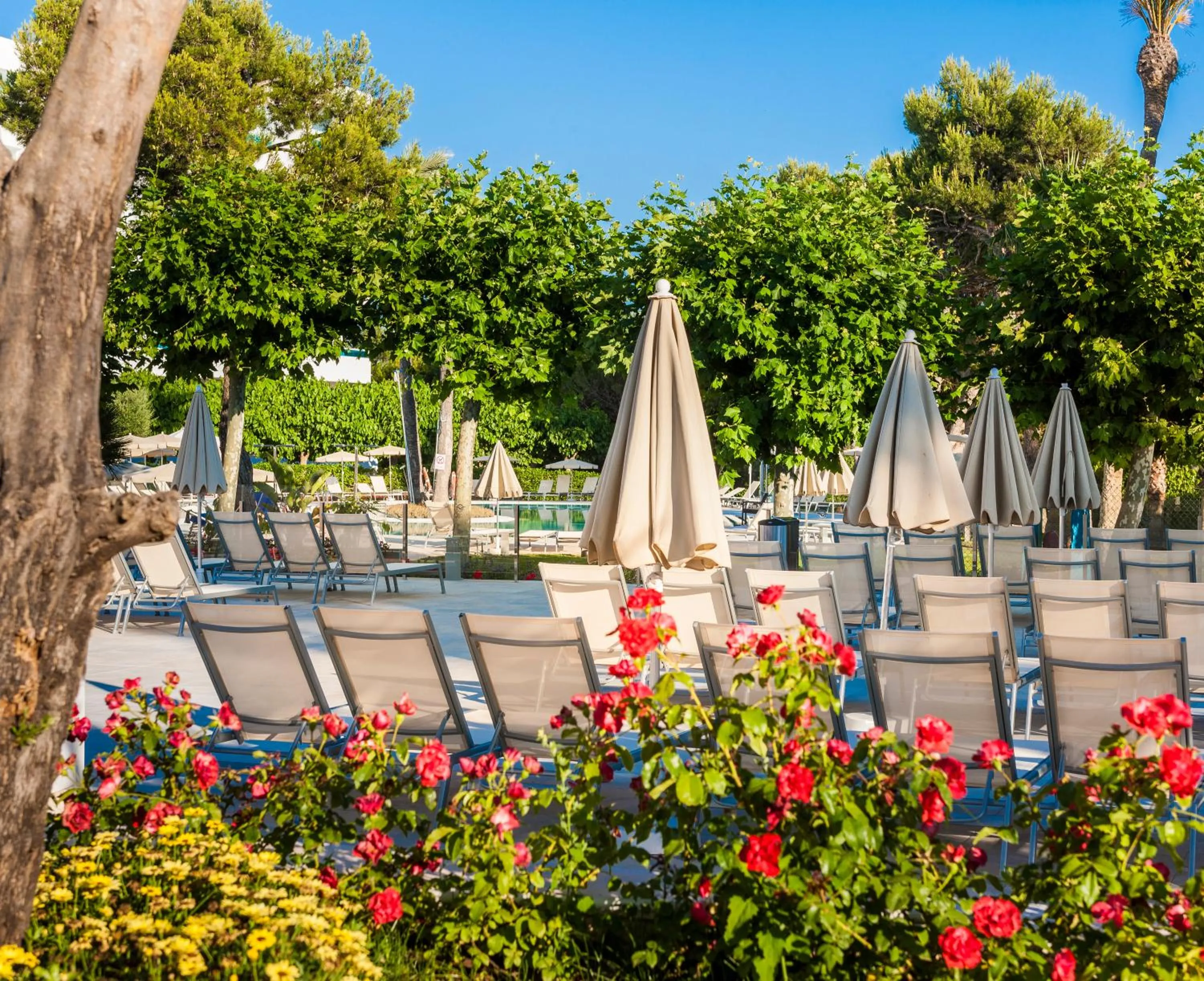 Balcony/Terrace in Globales Mediterrani