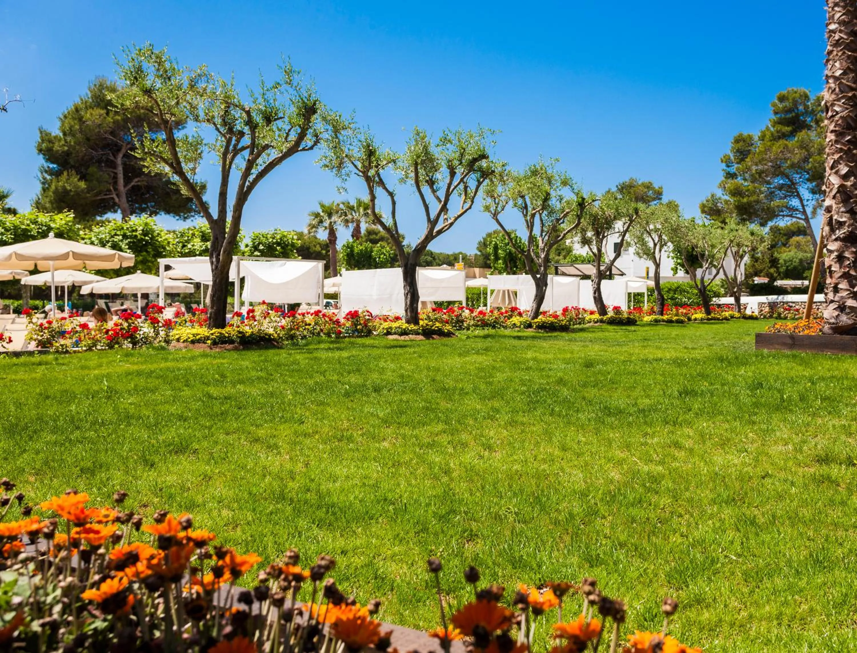 Patio in Globales Mediterrani