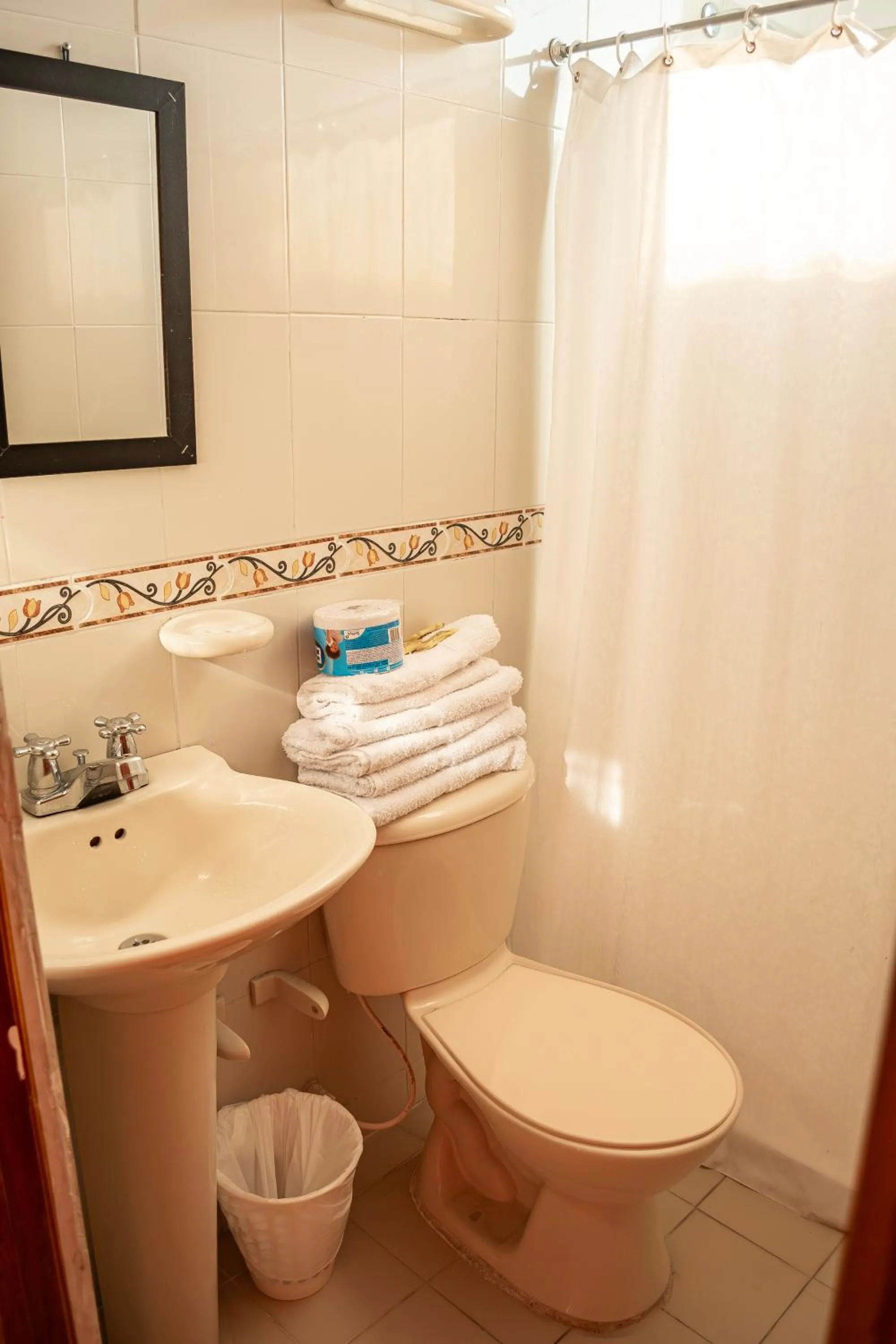 Toilet in Hotel Santander Plaza