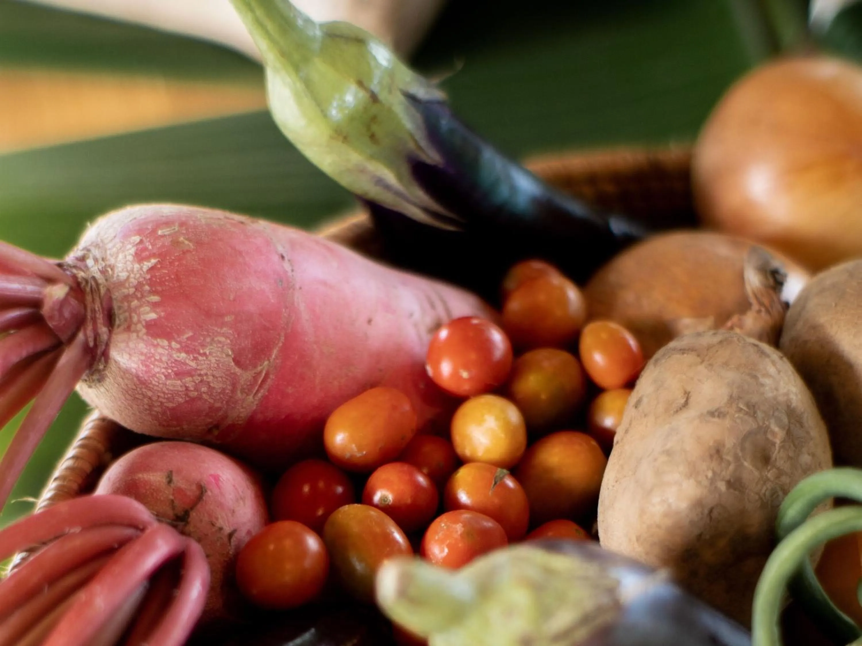 Activities in Dejama Glamping Resort Lombok