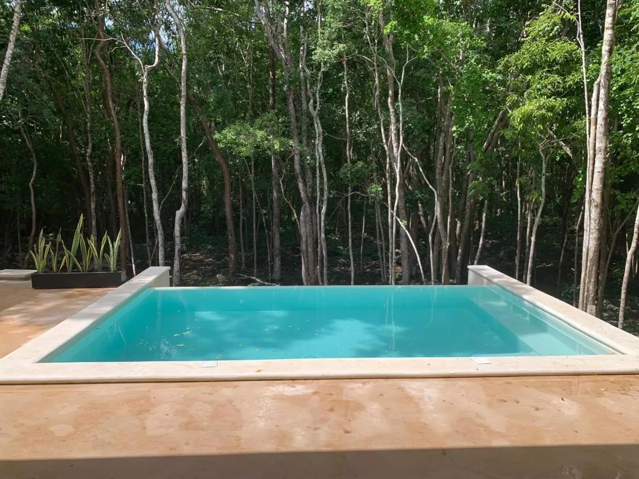 Villa Morena Boutique Hotel Ecoliving