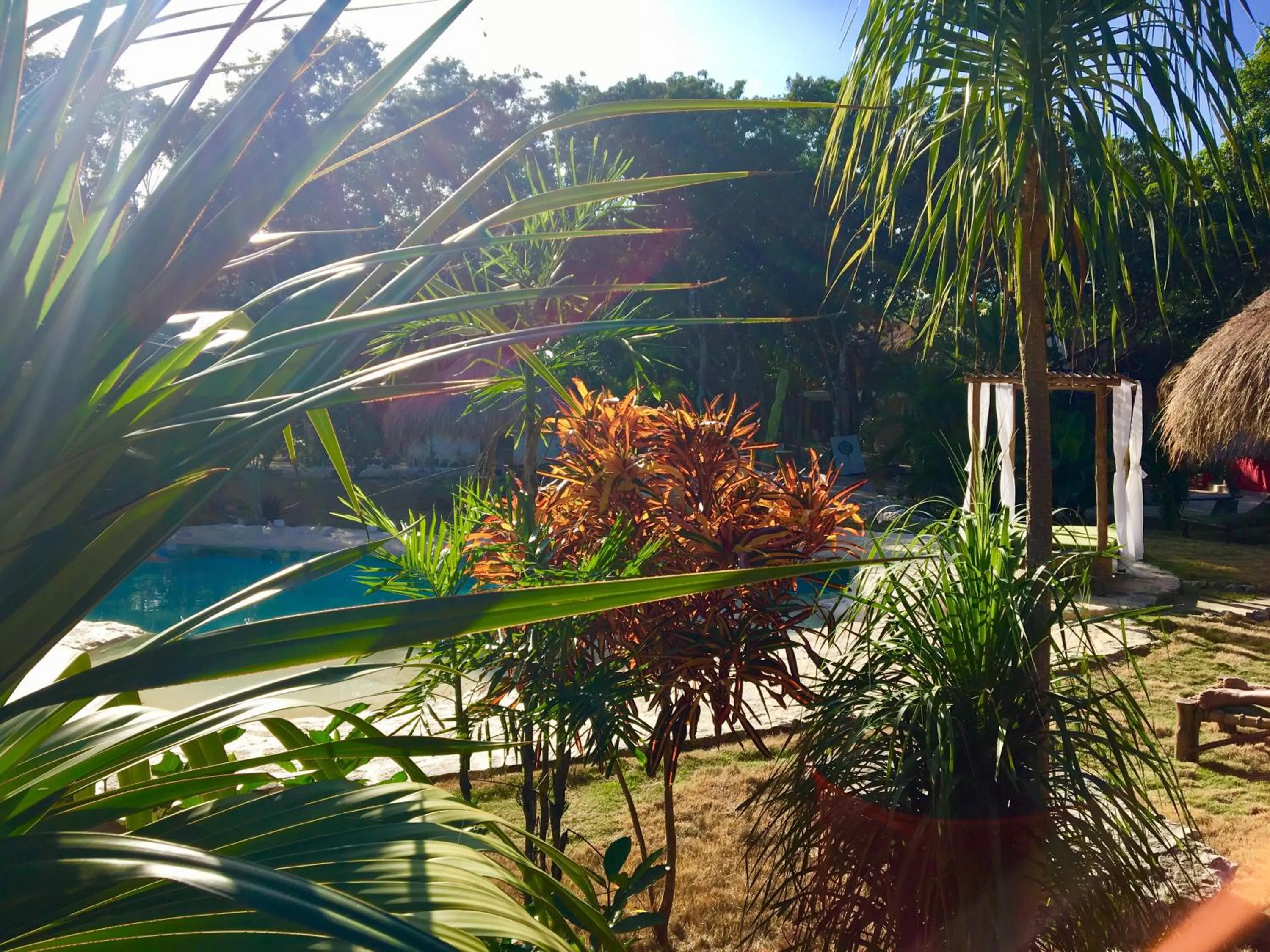 Swimming pool in Villa Morena Boutique Hotel Ecoliving
