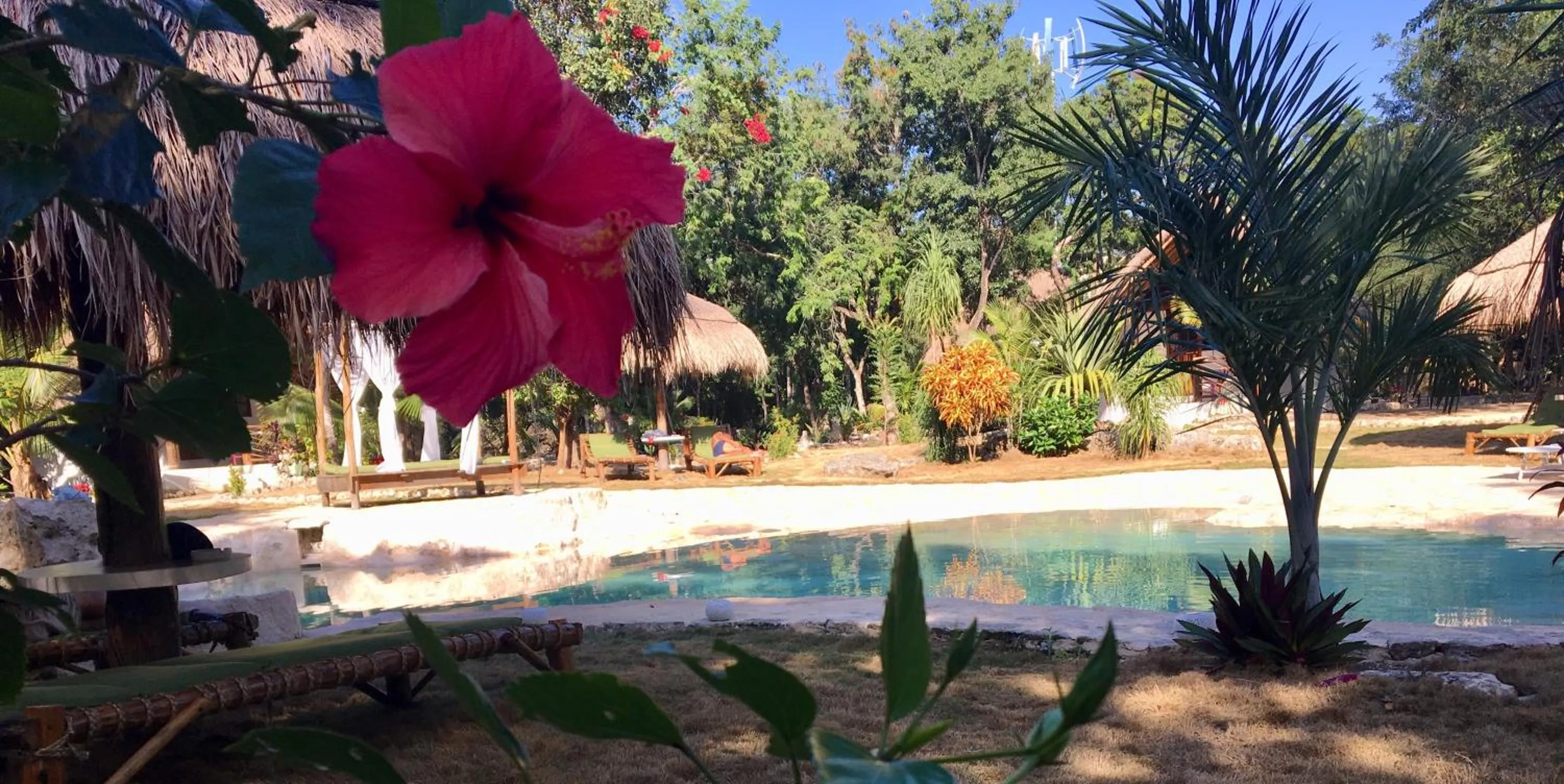 Swimming pool in Villa Morena Boutique Hotel Ecoliving