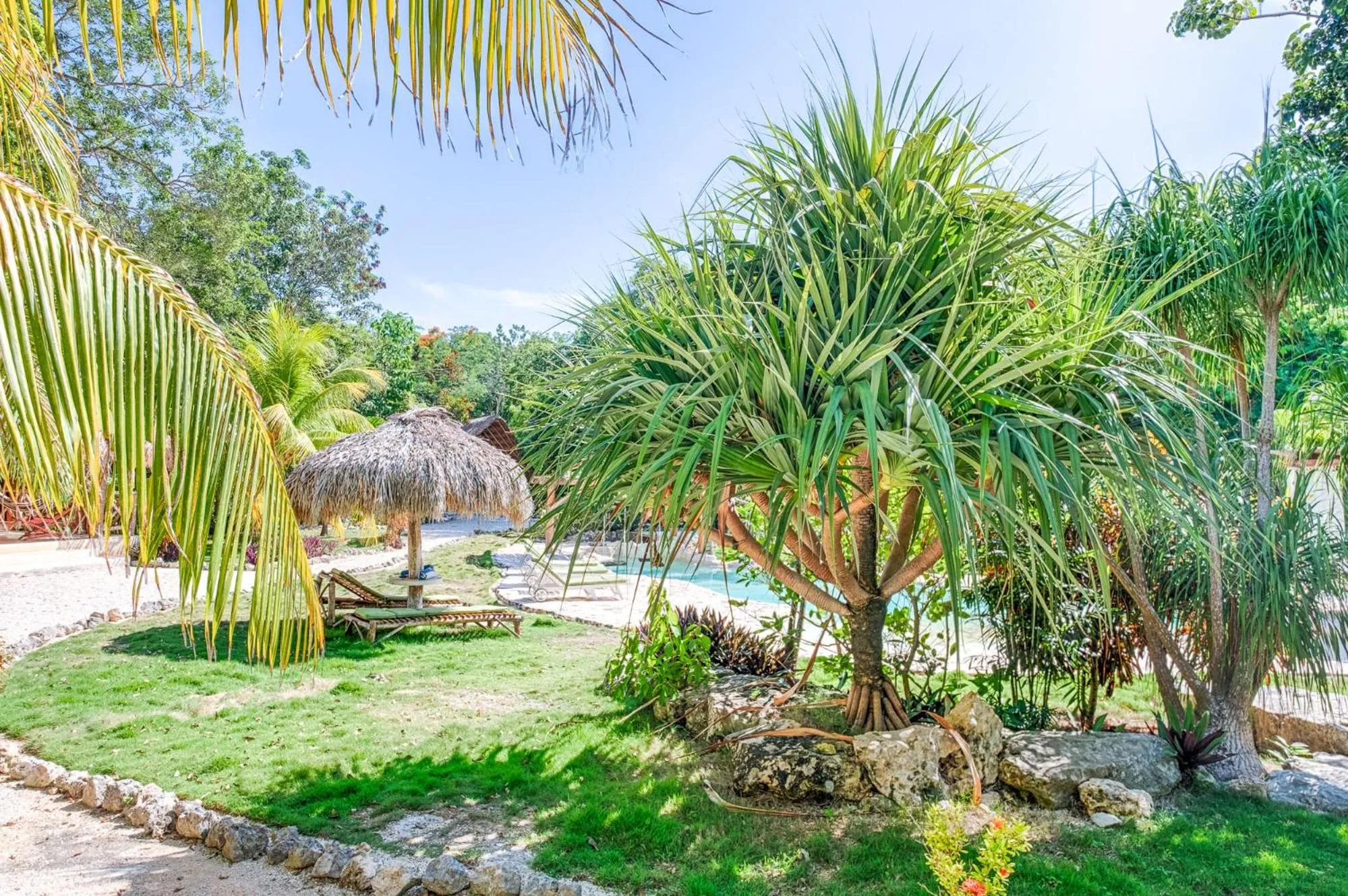 Garden in Villa Morena Boutique Hotel Ecoliving