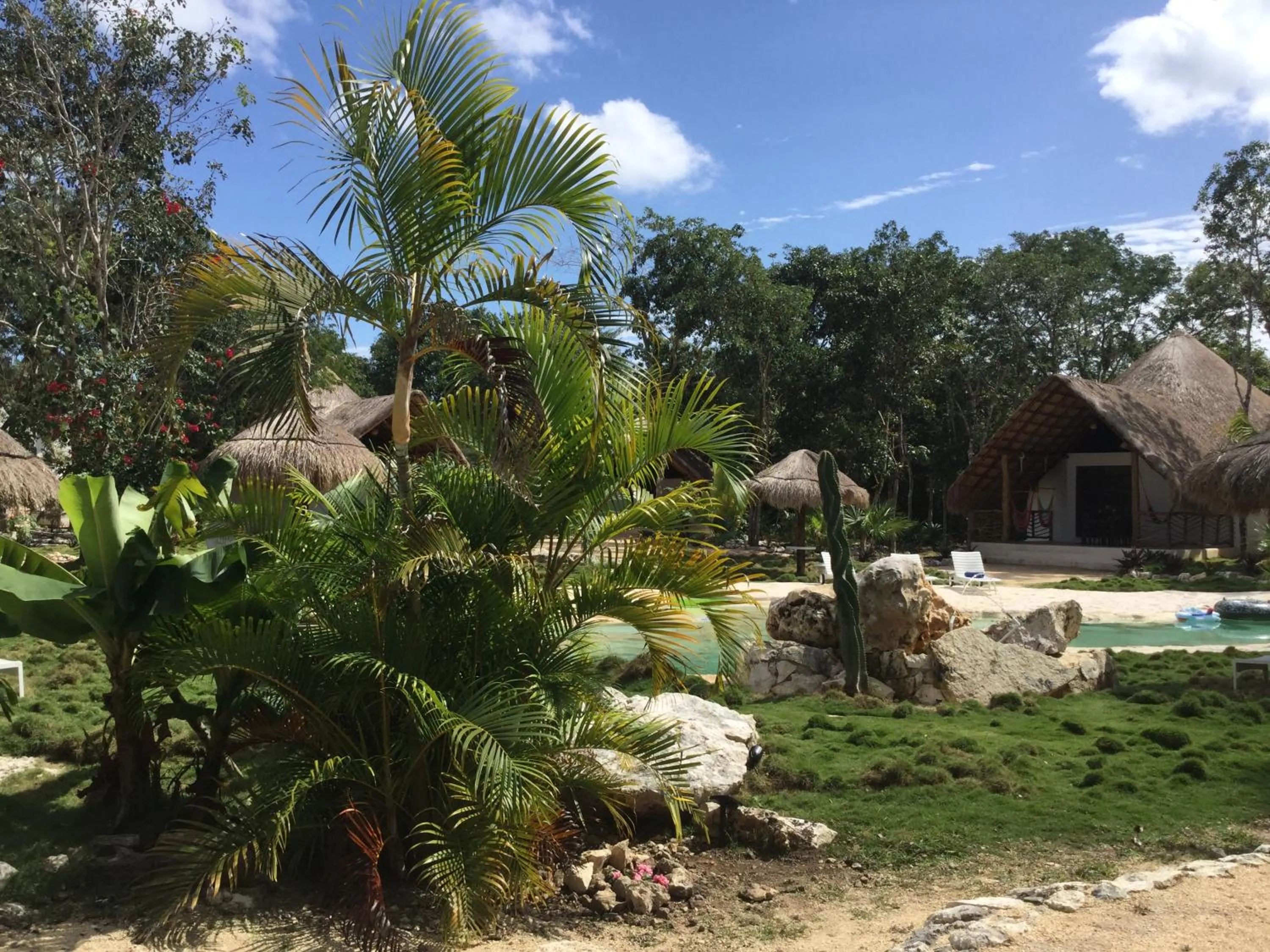 Garden in Villa Morena Boutique Hotel Ecoliving