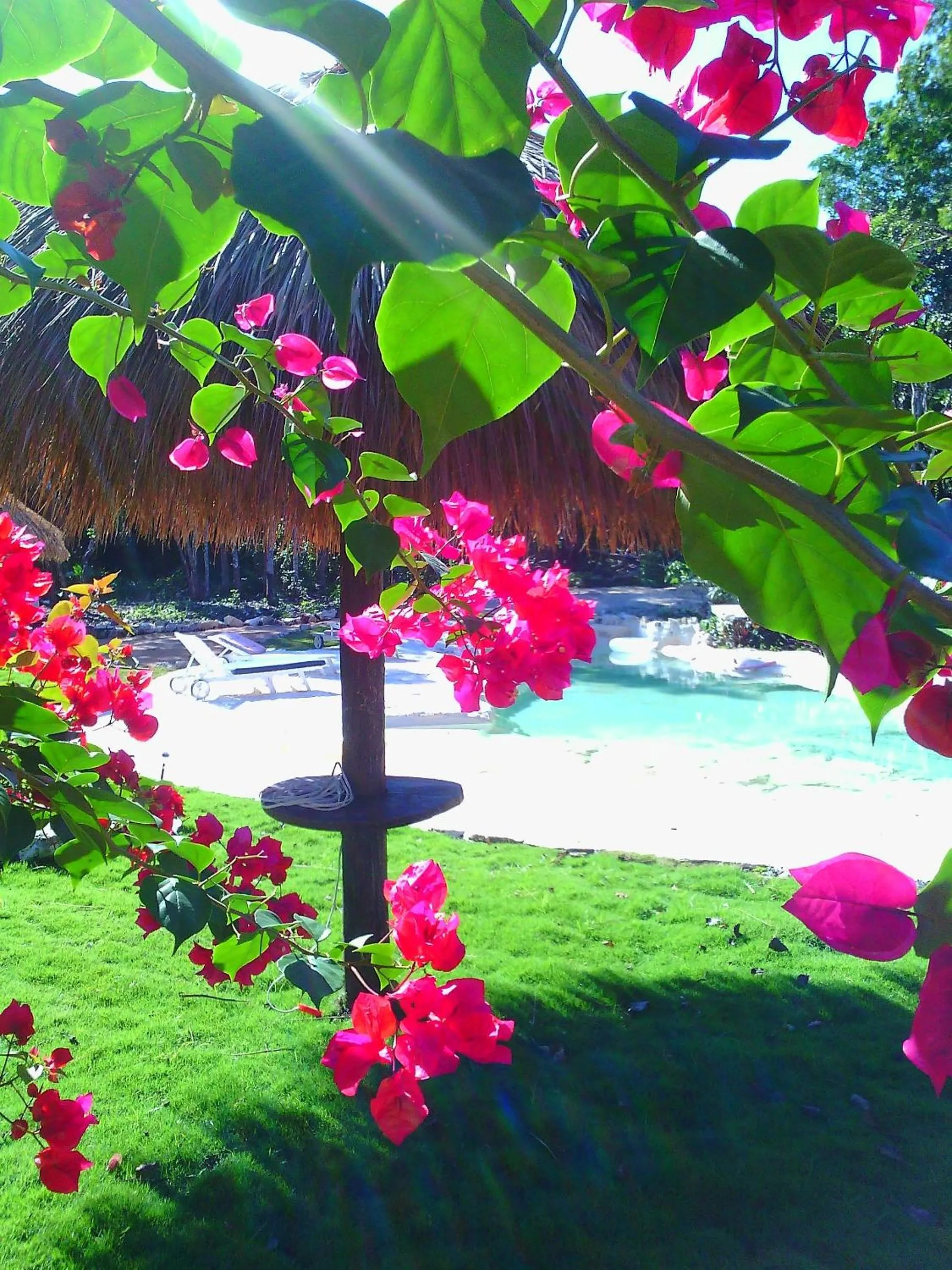 Day in Villa Morena Boutique Hotel Ecoliving