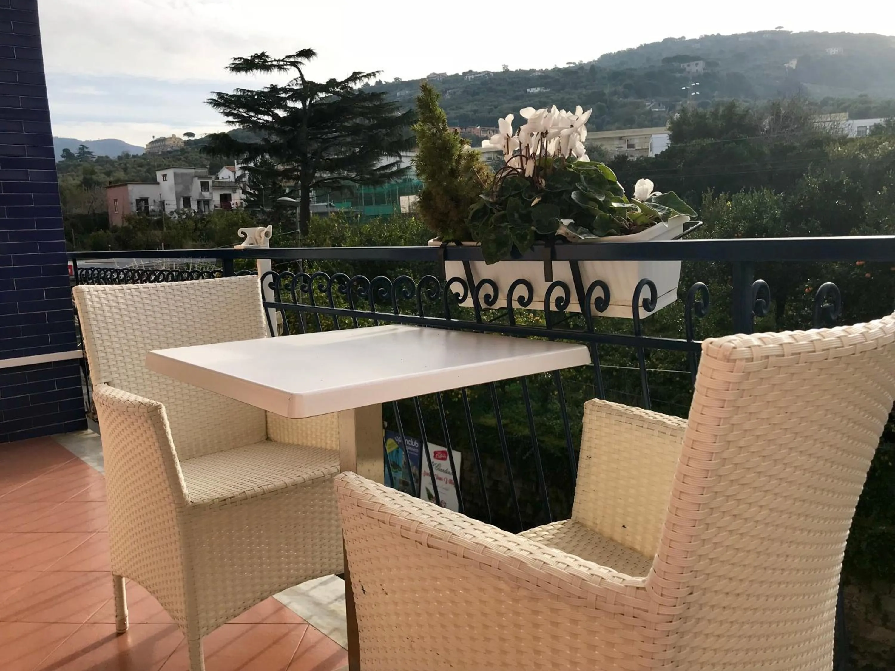 City view in Bougainvillea Relais