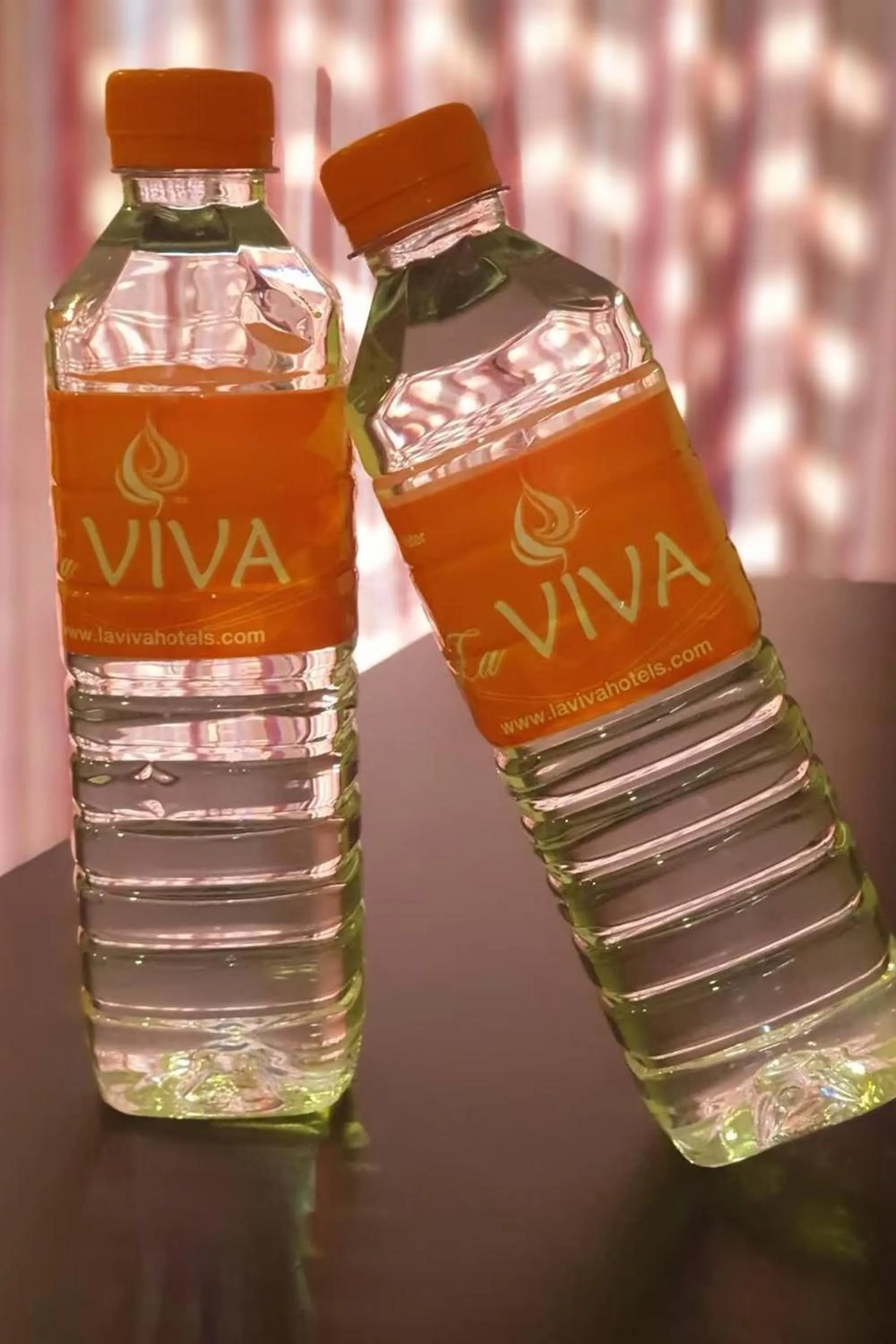 Area and facilities in La VIVA Hotel