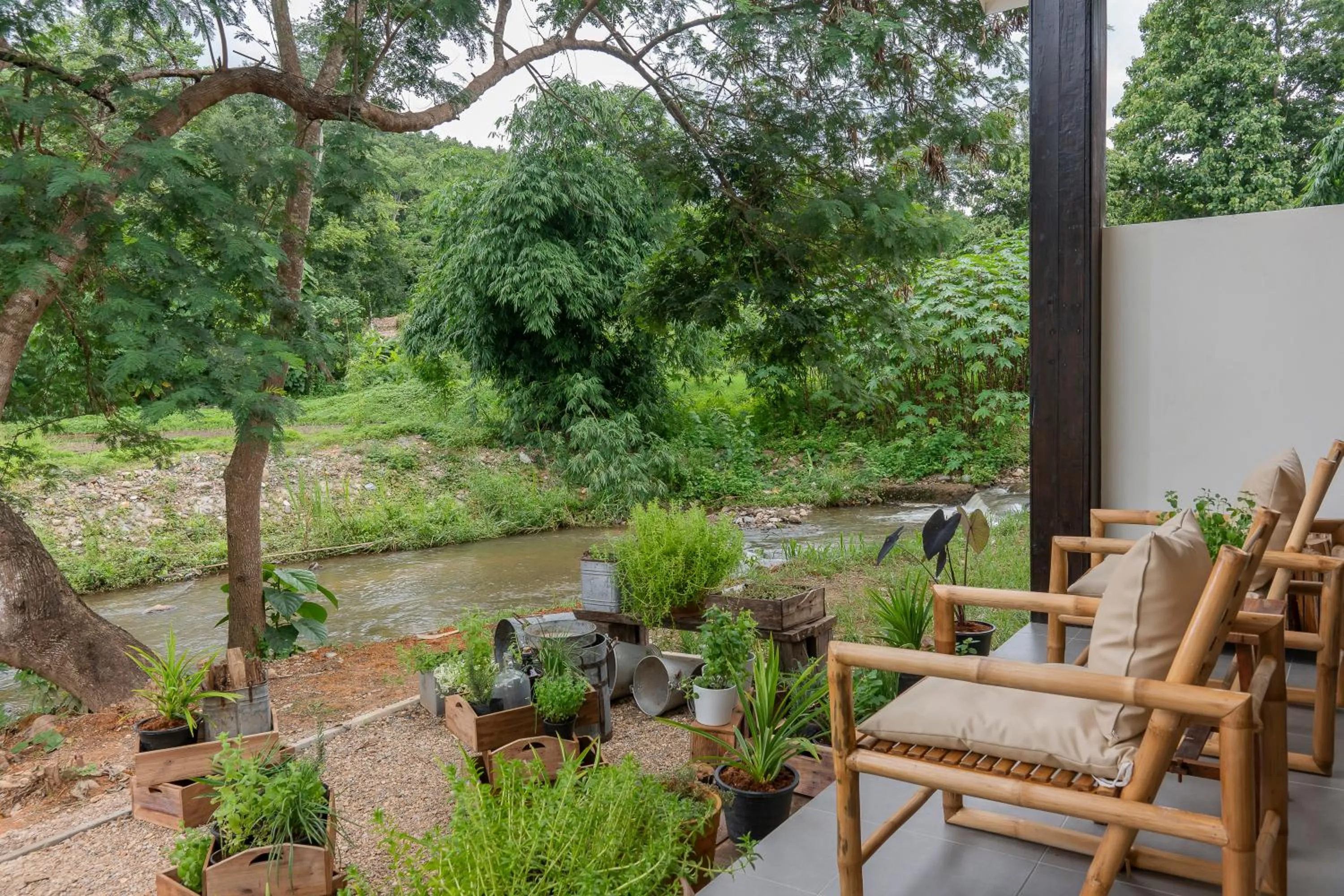 Day in Sirin Farm Chiang Rai