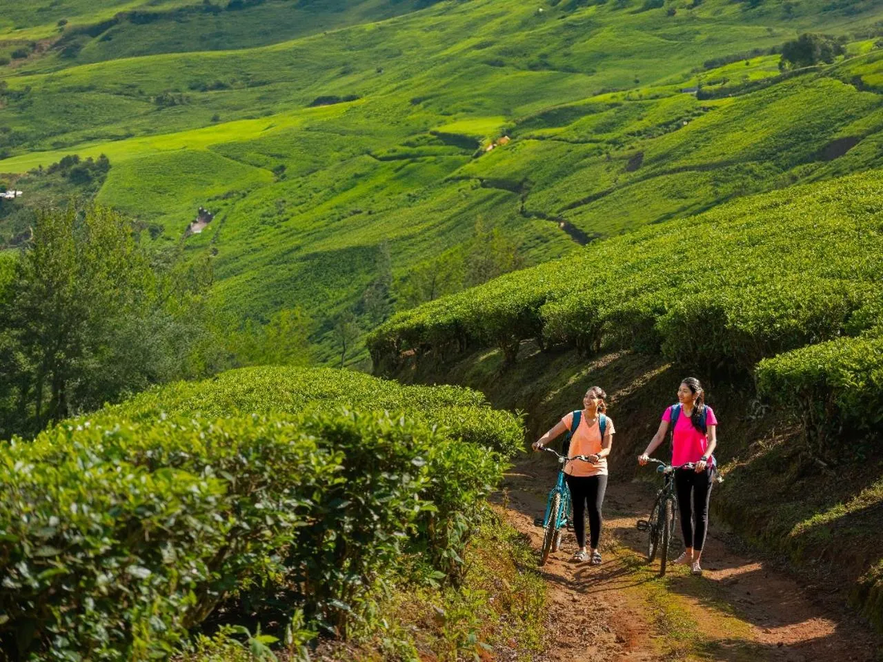 Activities in Le Montfort Resort