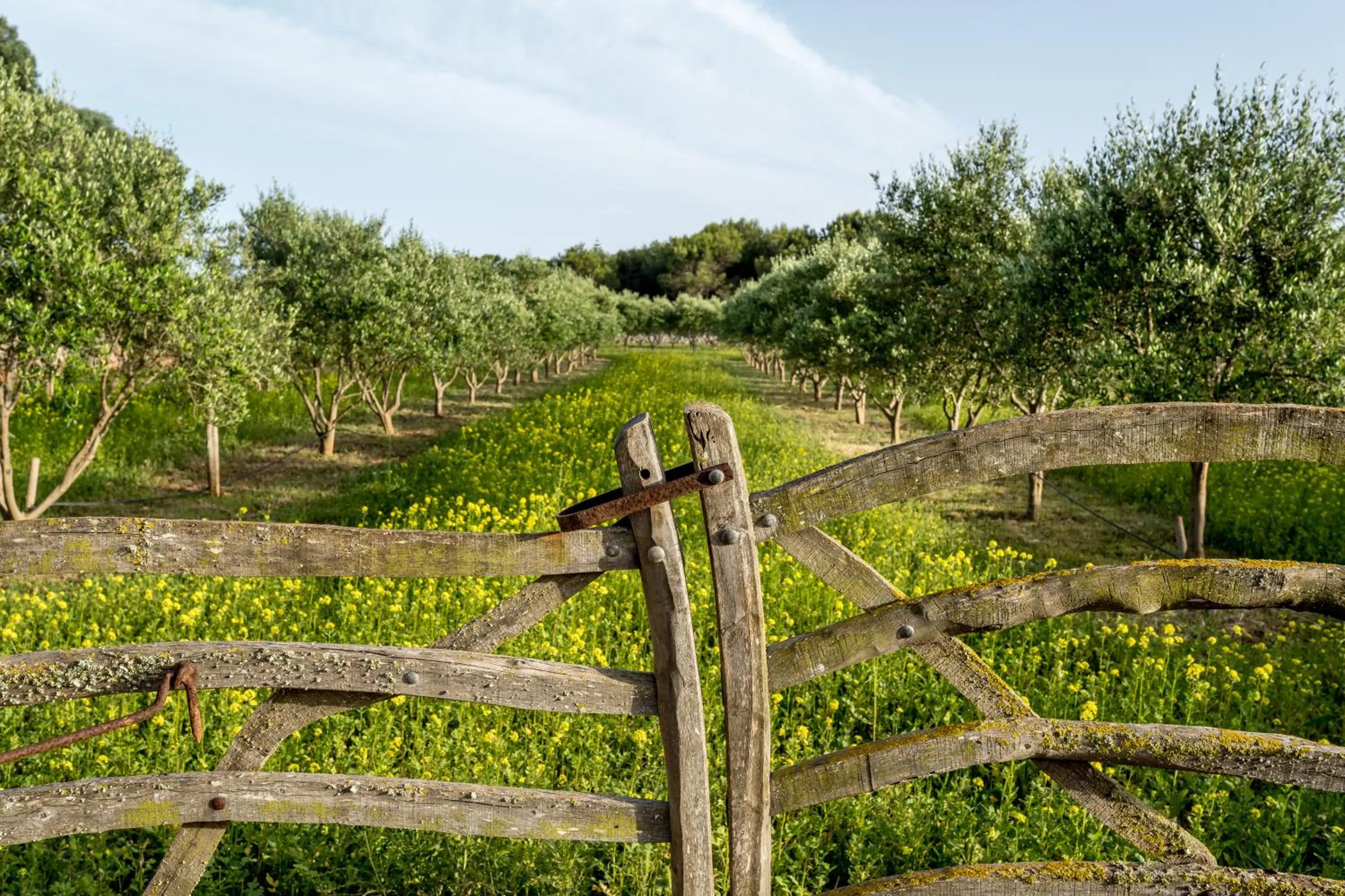 Binissaida Boutique Hotel