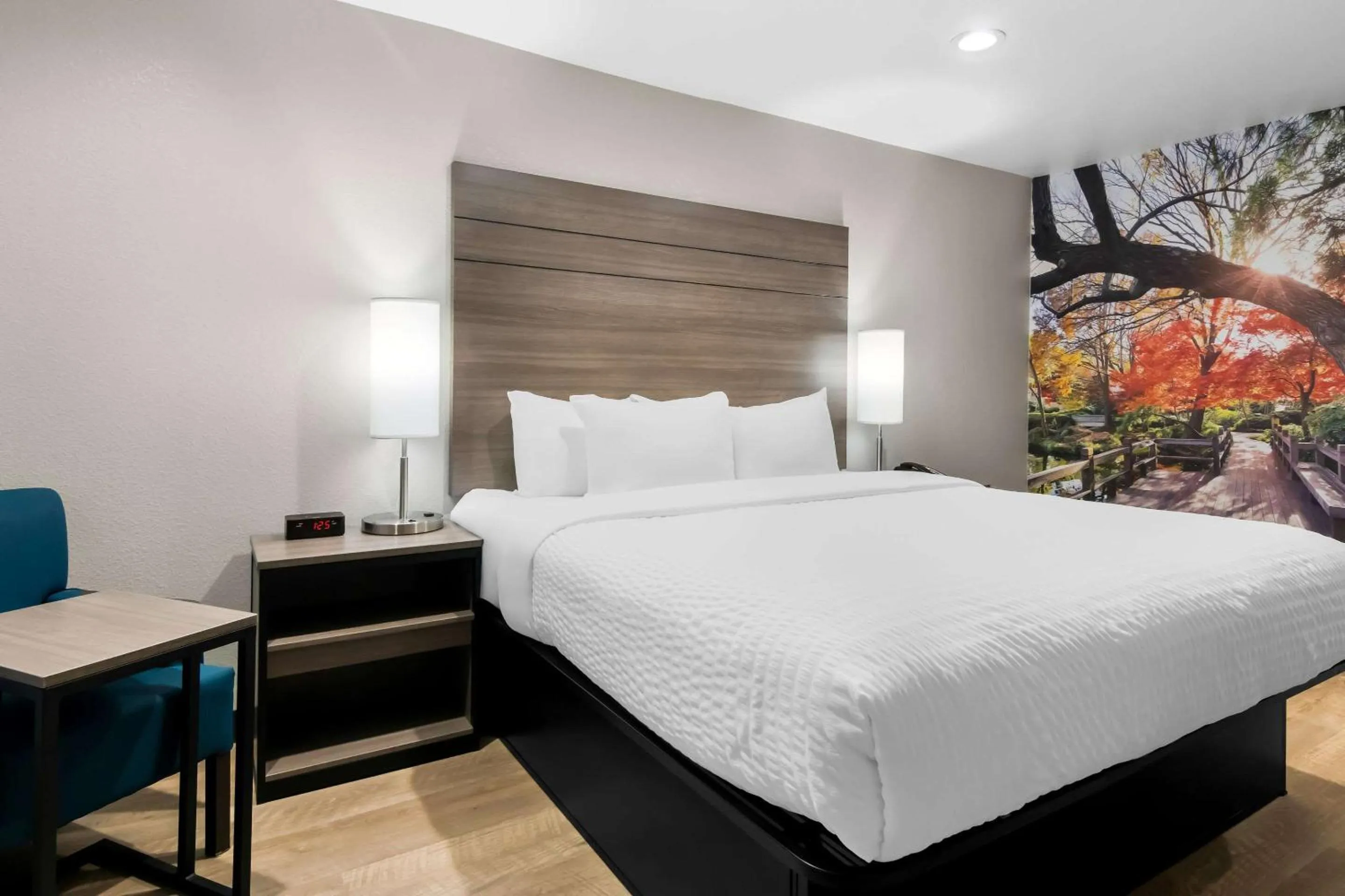 Bedroom, Bed in Clarion Pointe