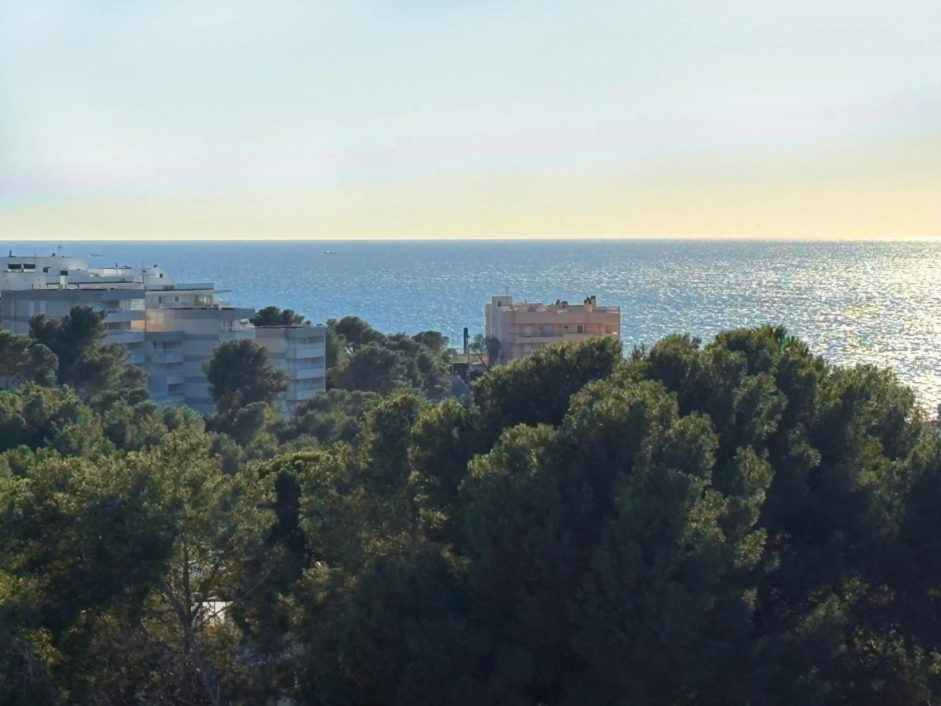 Nearby landmark in Hotel SunClub CalaVinya - Adults Recommended