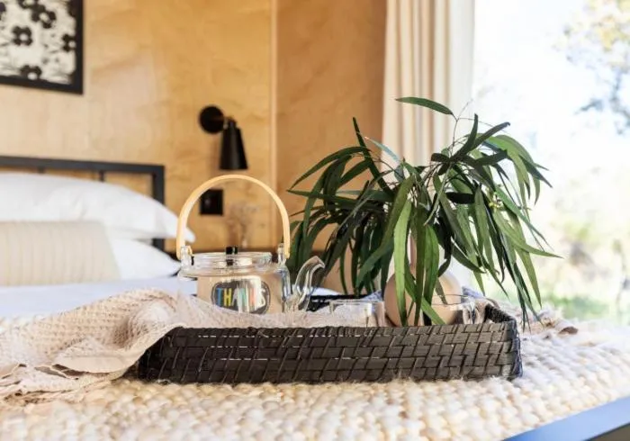 Bed in Onera Fredericksburg