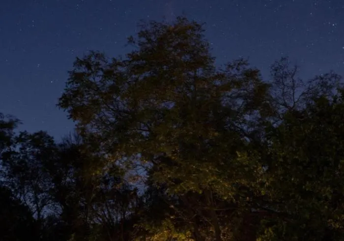 Onera Fredericksburg