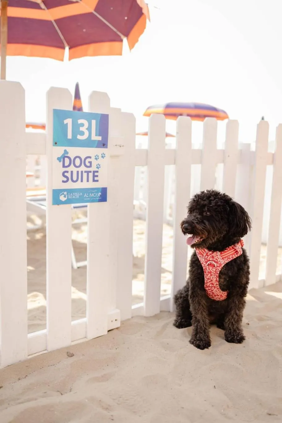 Property logo or sign in Hotel Club La Villa