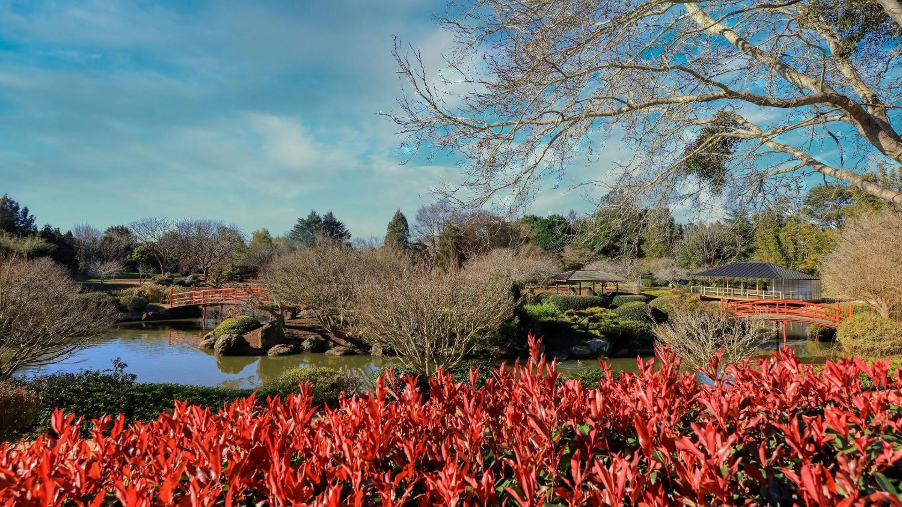 Nearby landmark in Apollo Lodge