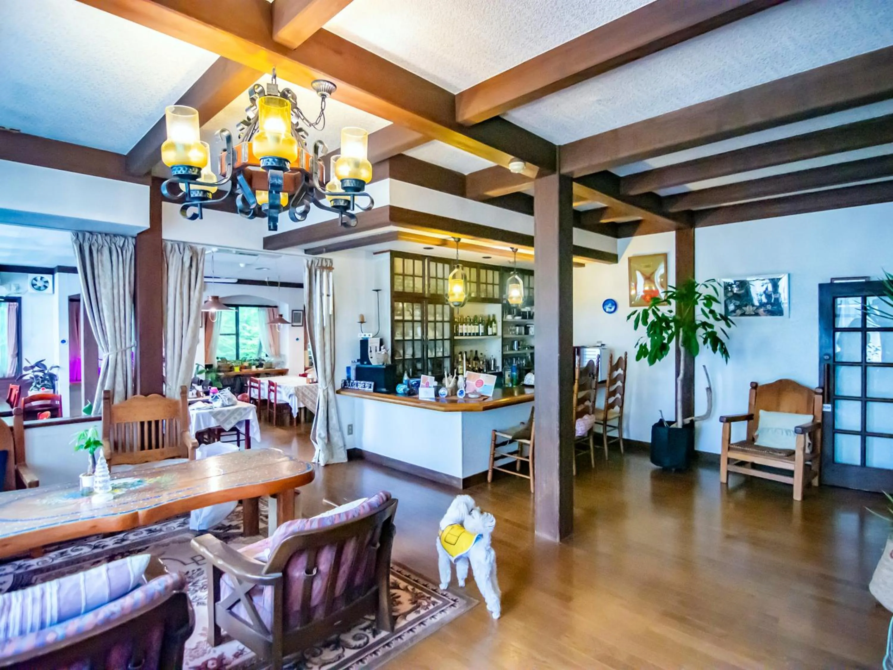 Lounge or bar in Garden Pension Obergurgl