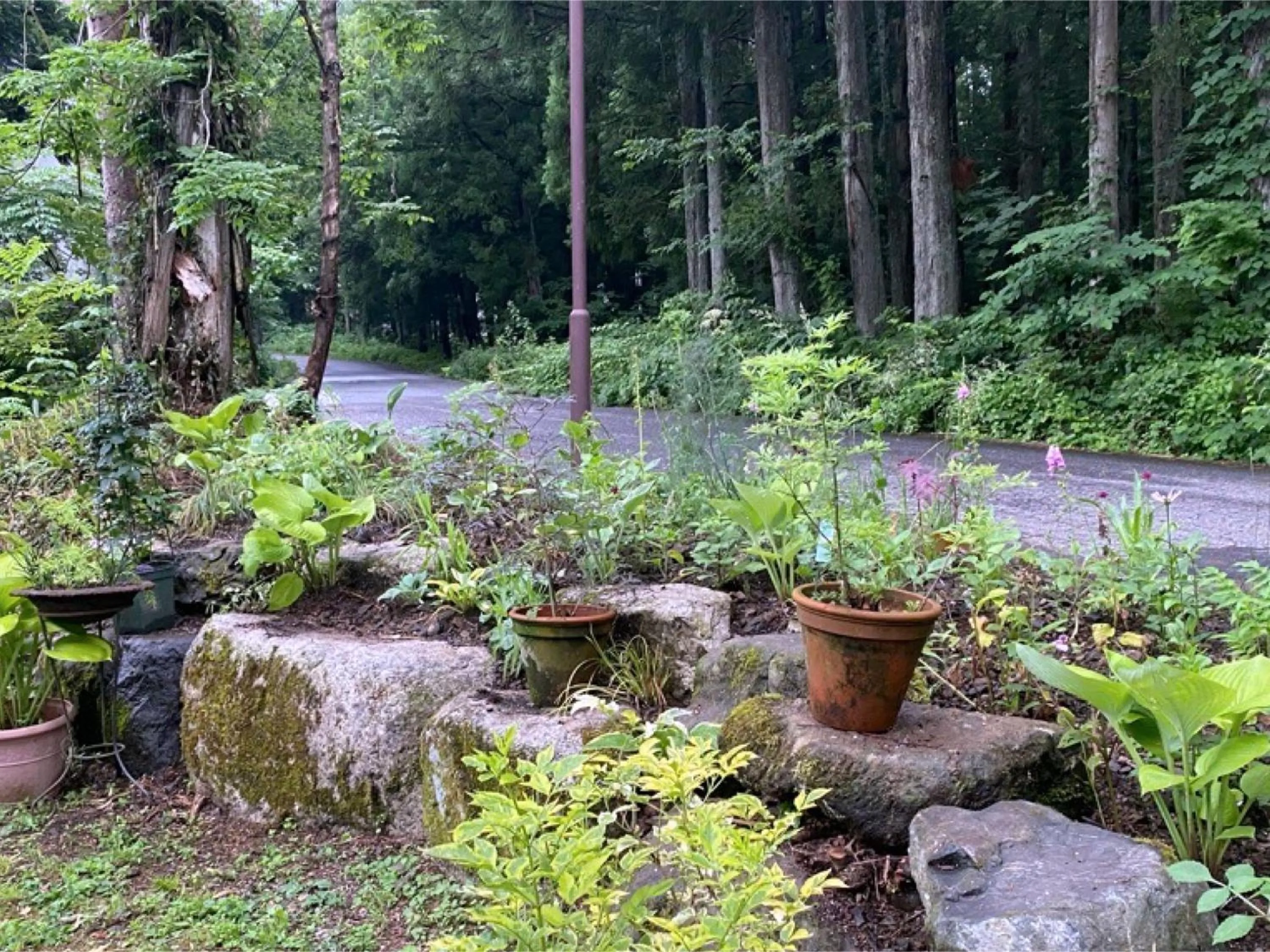 Area and facilities in Garden Pension Obergurgl