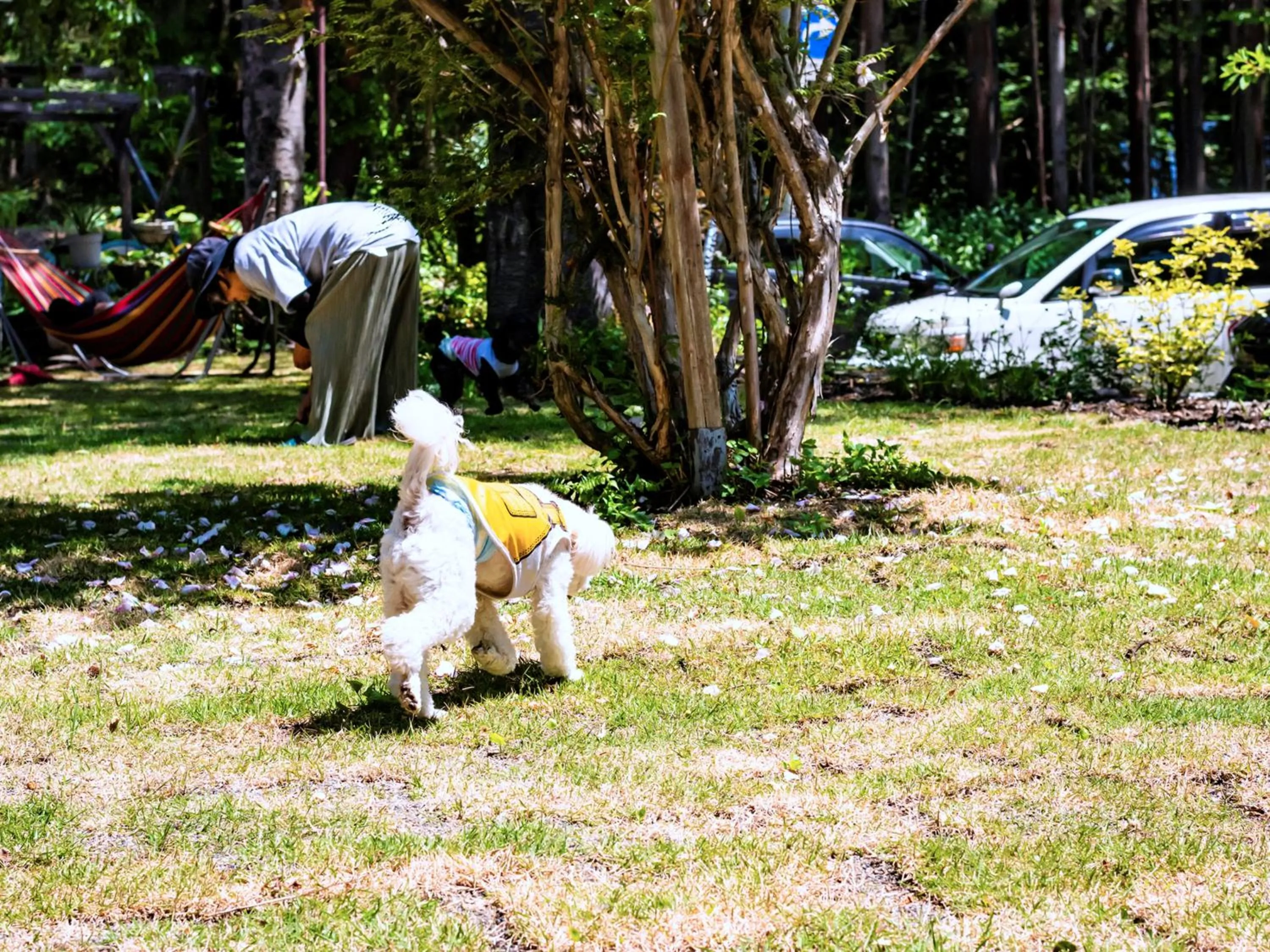 Area and facilities in Garden Pension Obergurgl