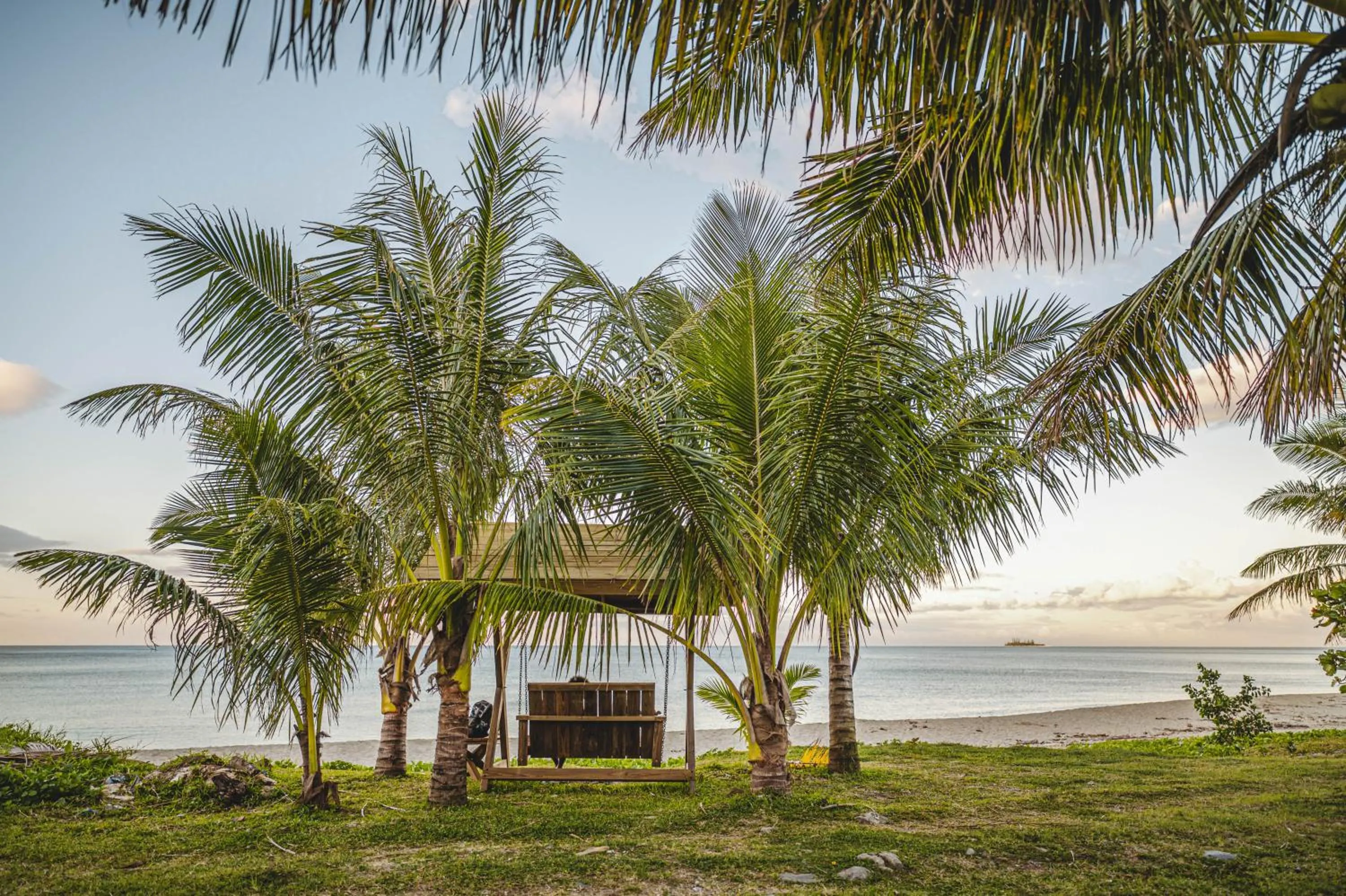 Garden in Hotel Tieti