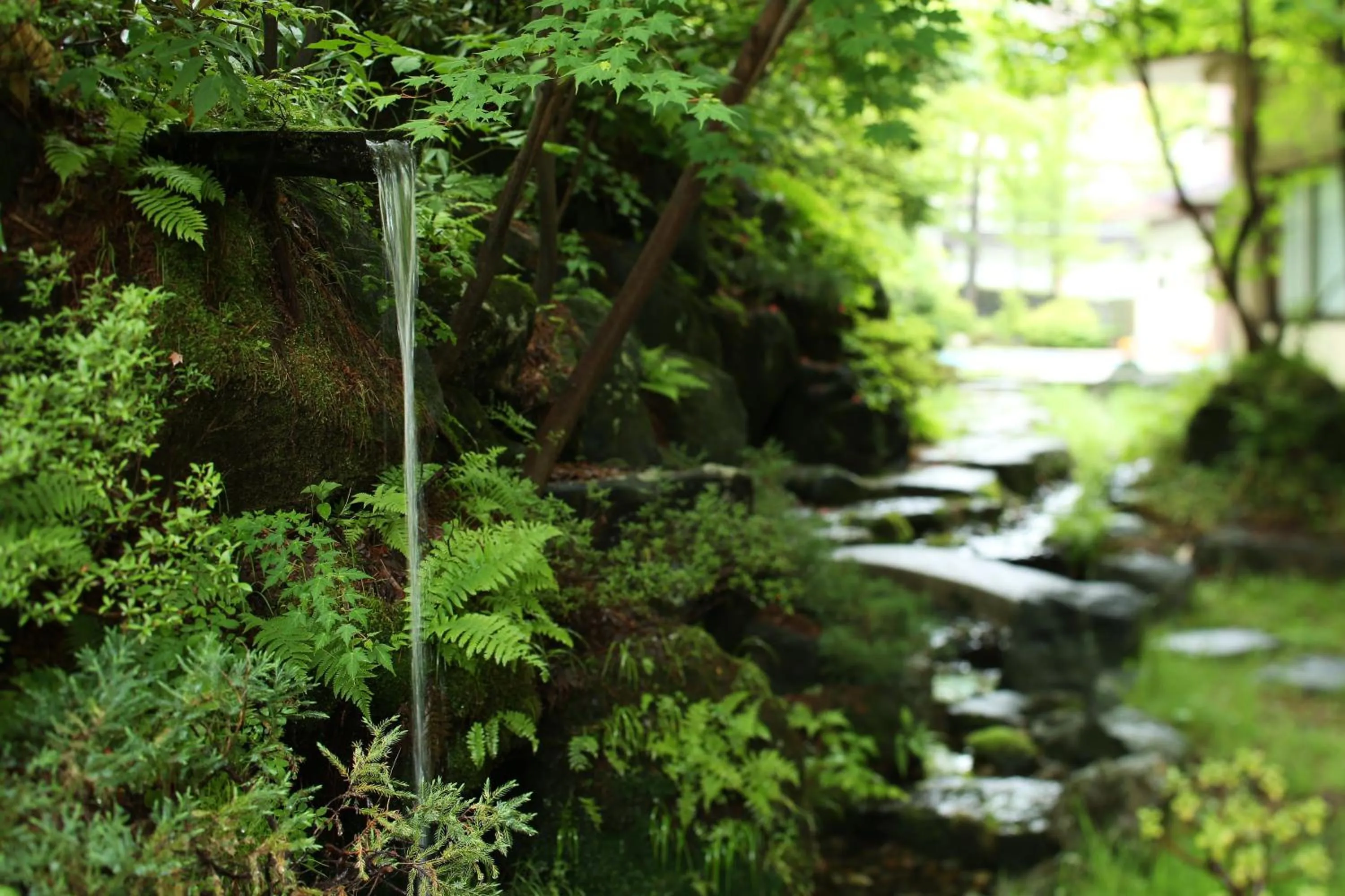 Garden in Hotel Sakurai