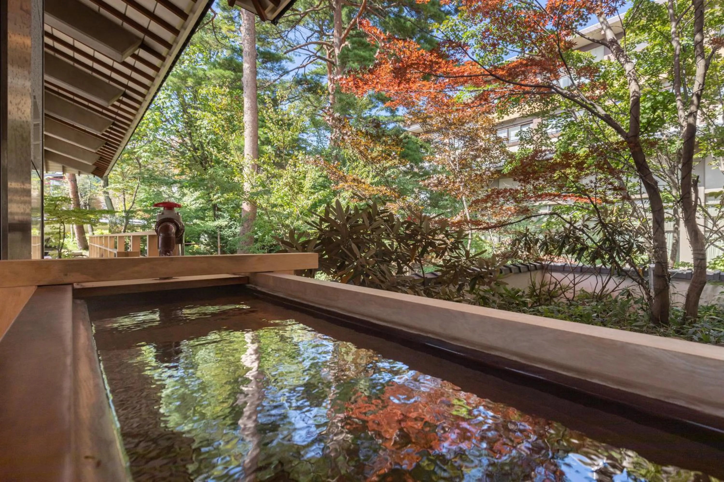 Area and facilities in Hotel Sakurai