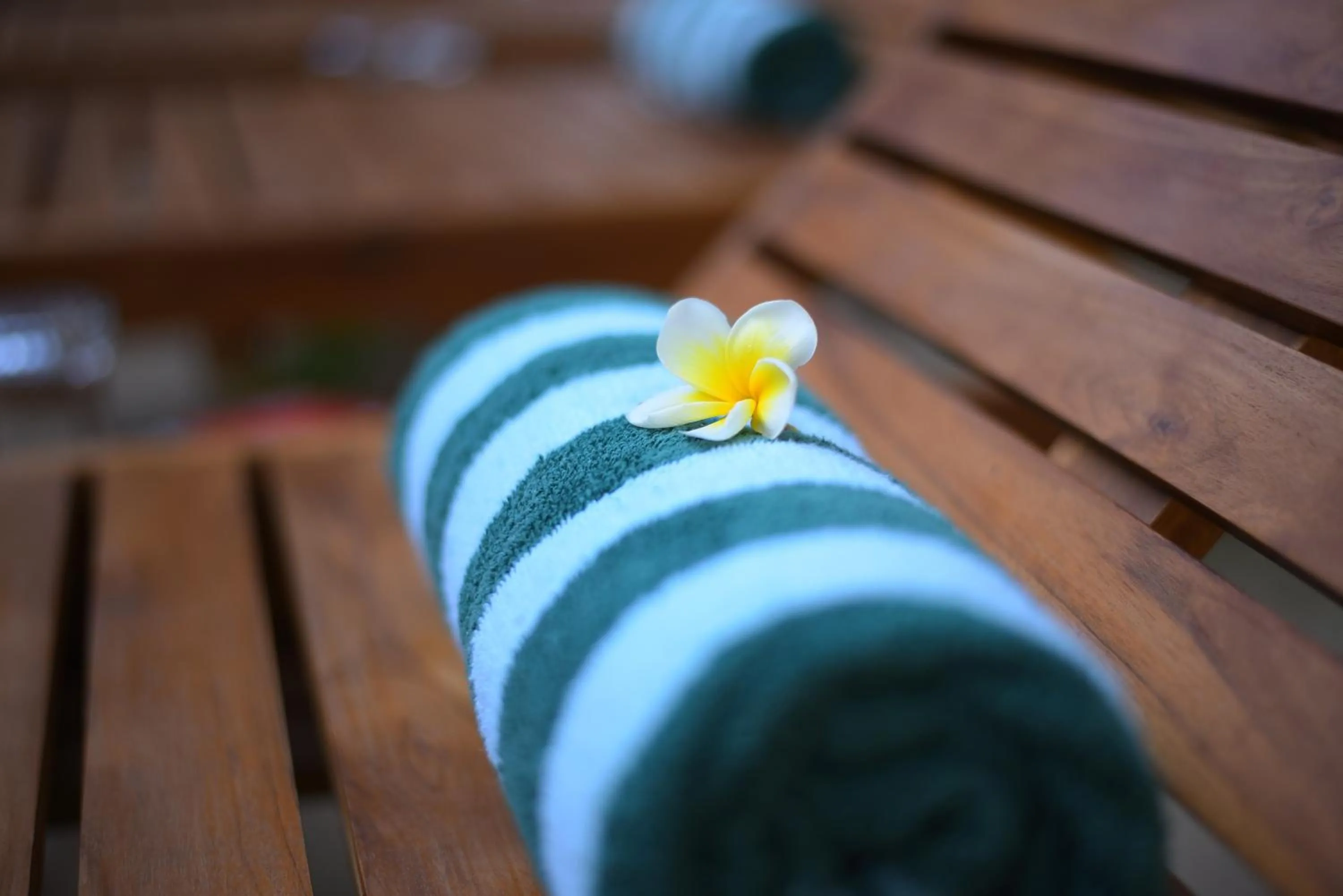 Swimming pool in Elephant Trail