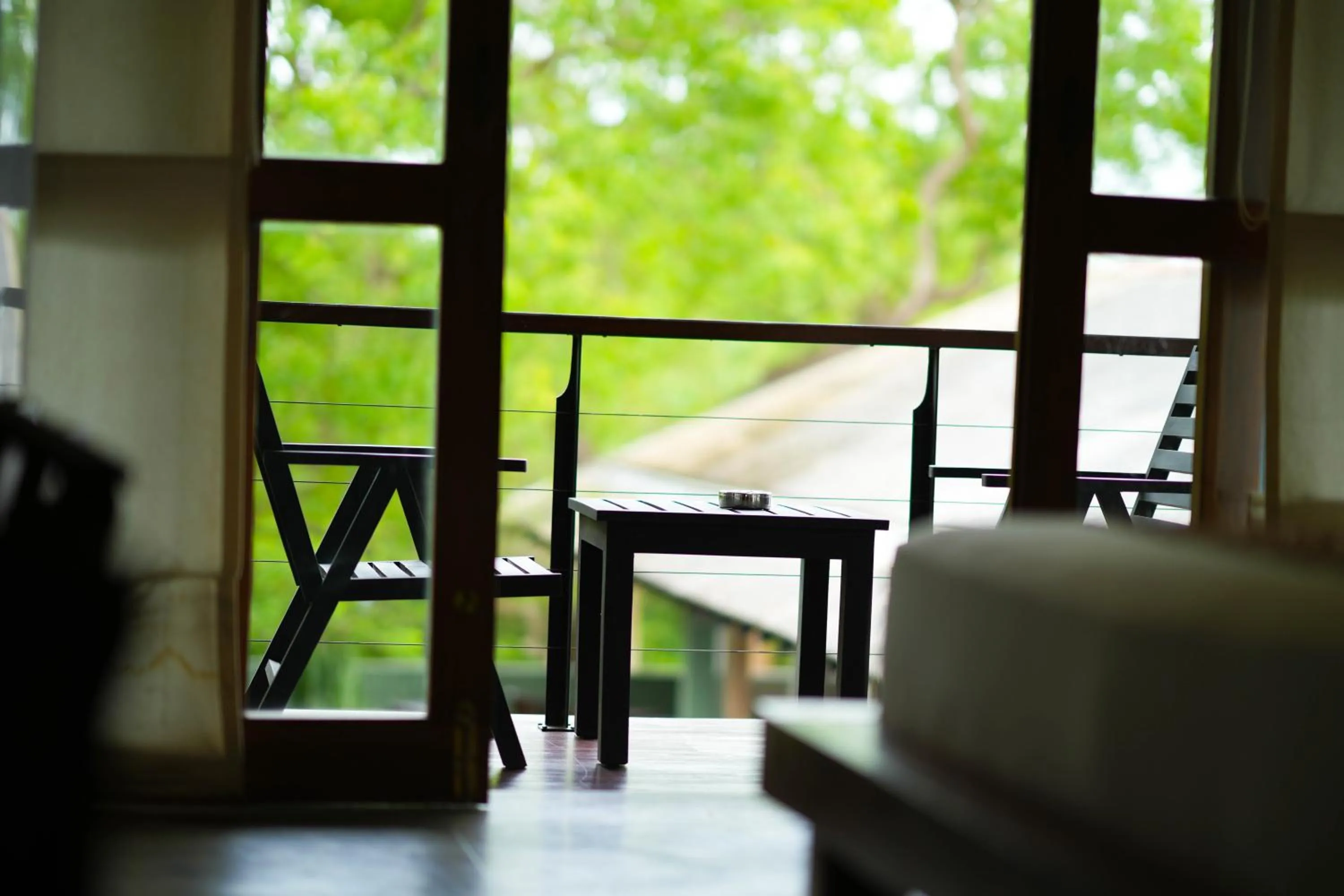 View (from property/room) in Elephant Trail