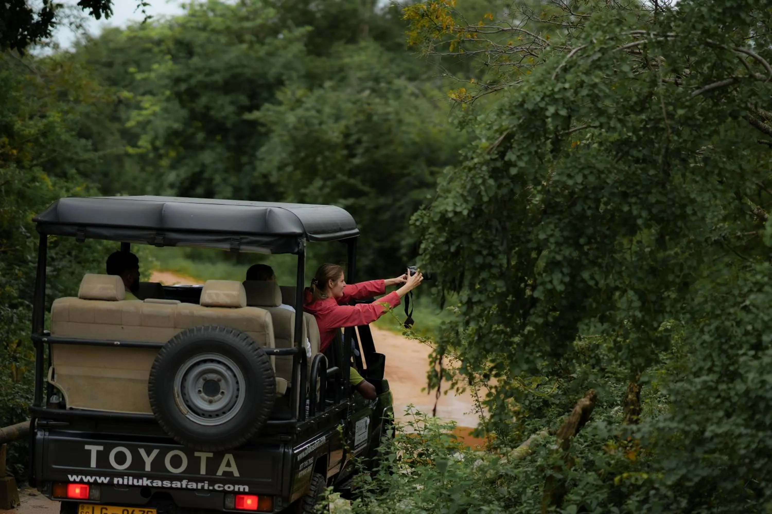 Activities in Elephant Trail