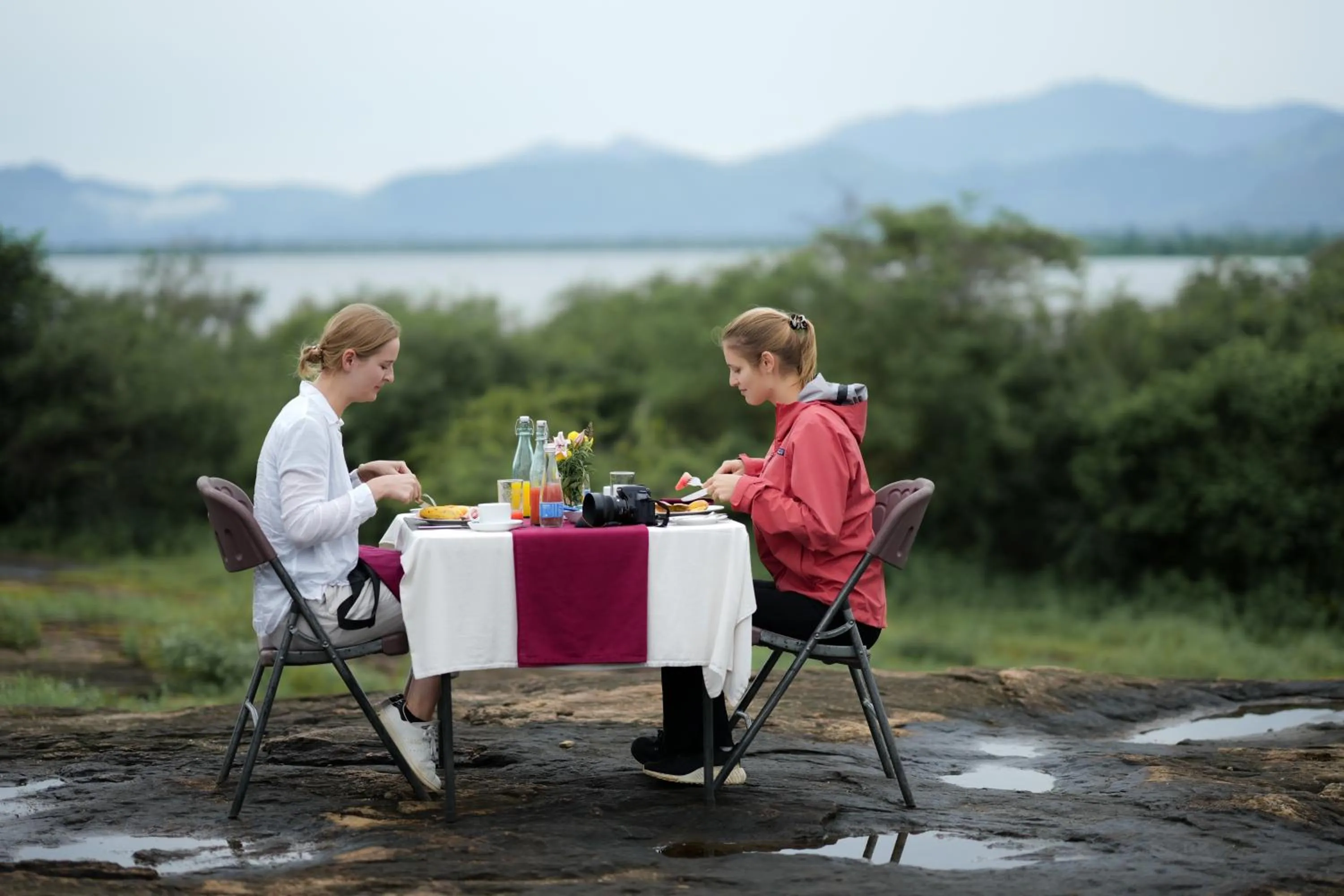 Activities in Elephant Trail