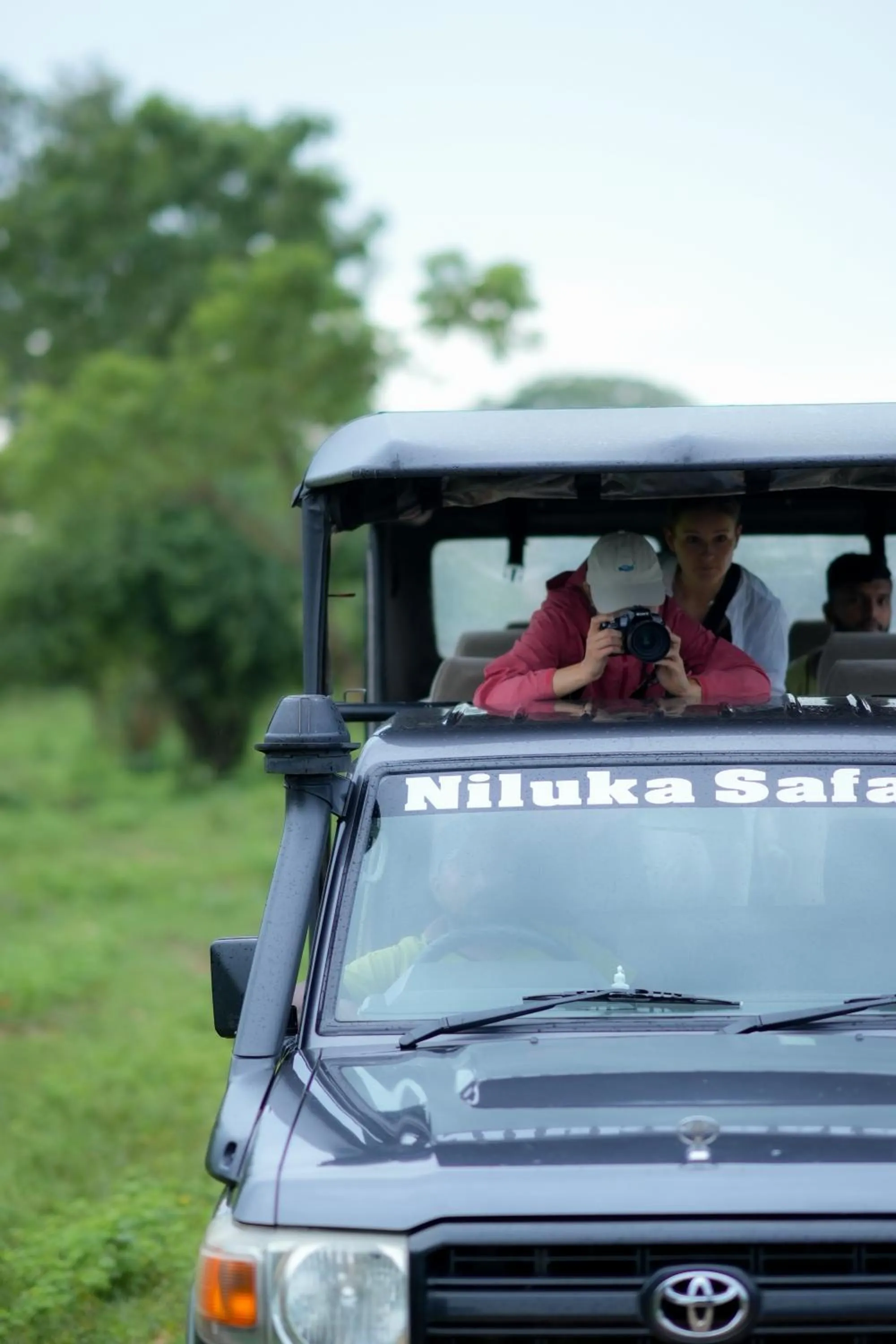 Activities in Elephant Trail