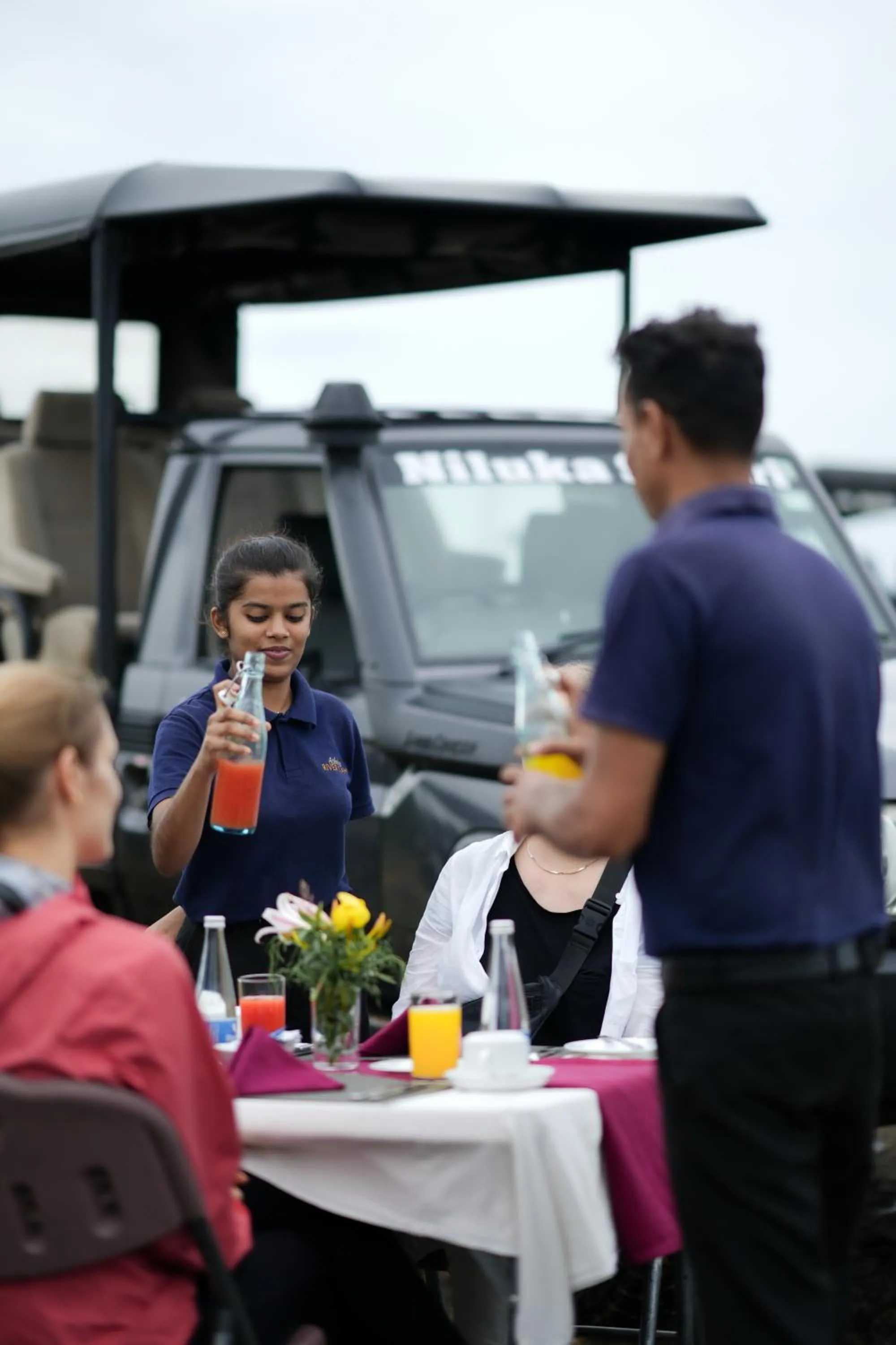 Activities in Elephant Trail