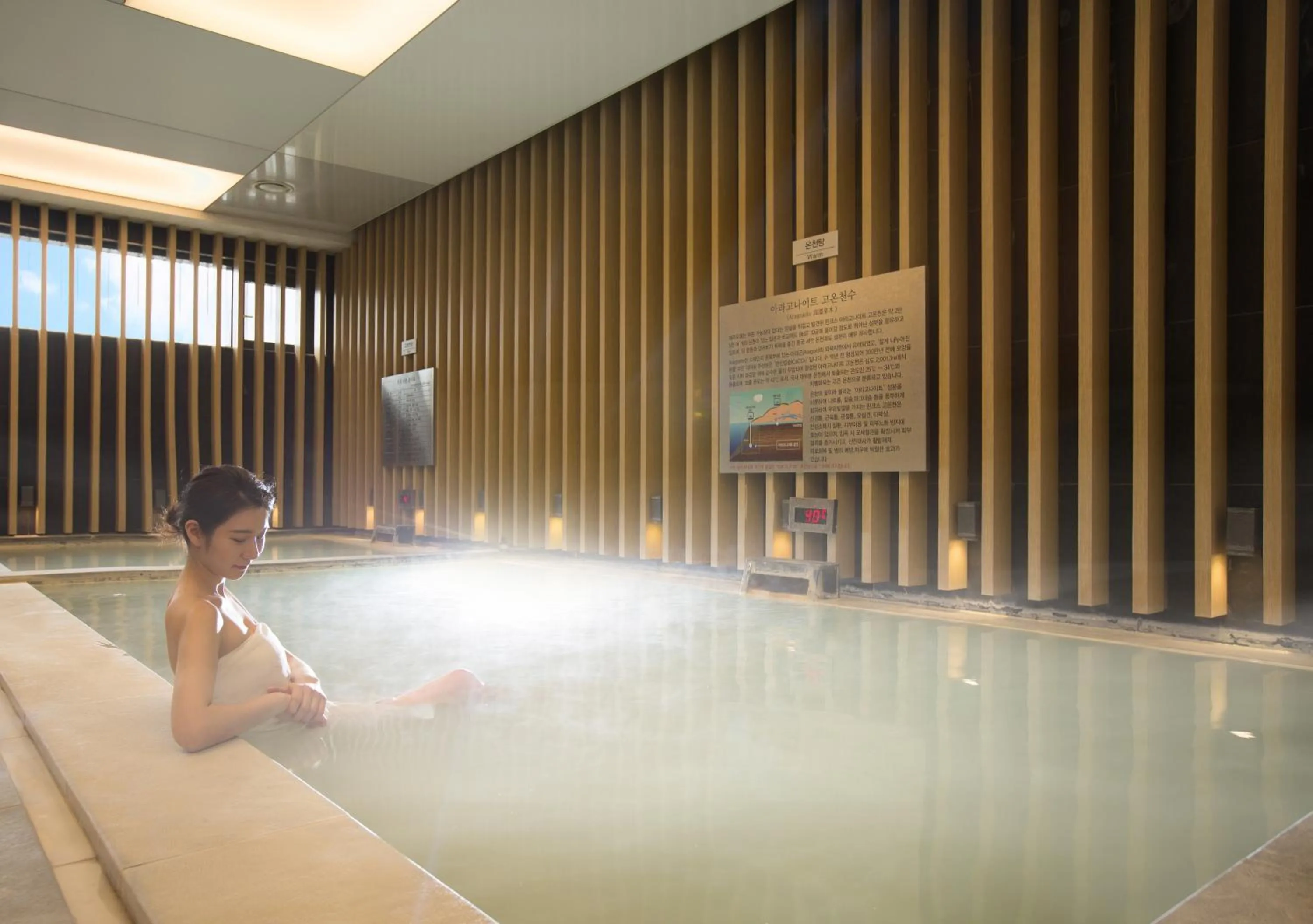 Swimming pool in Luceville