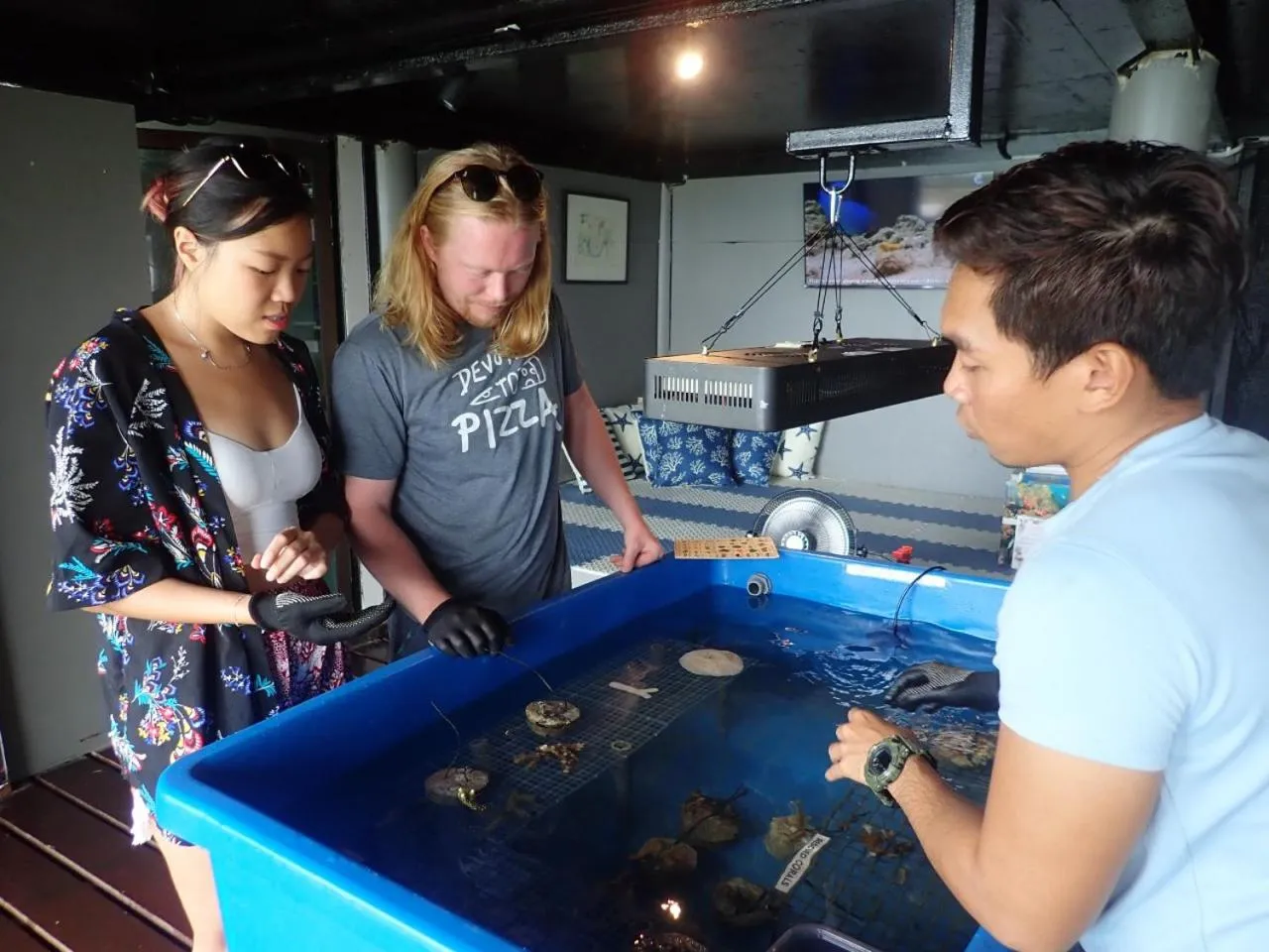 Property building in Alunan Resort