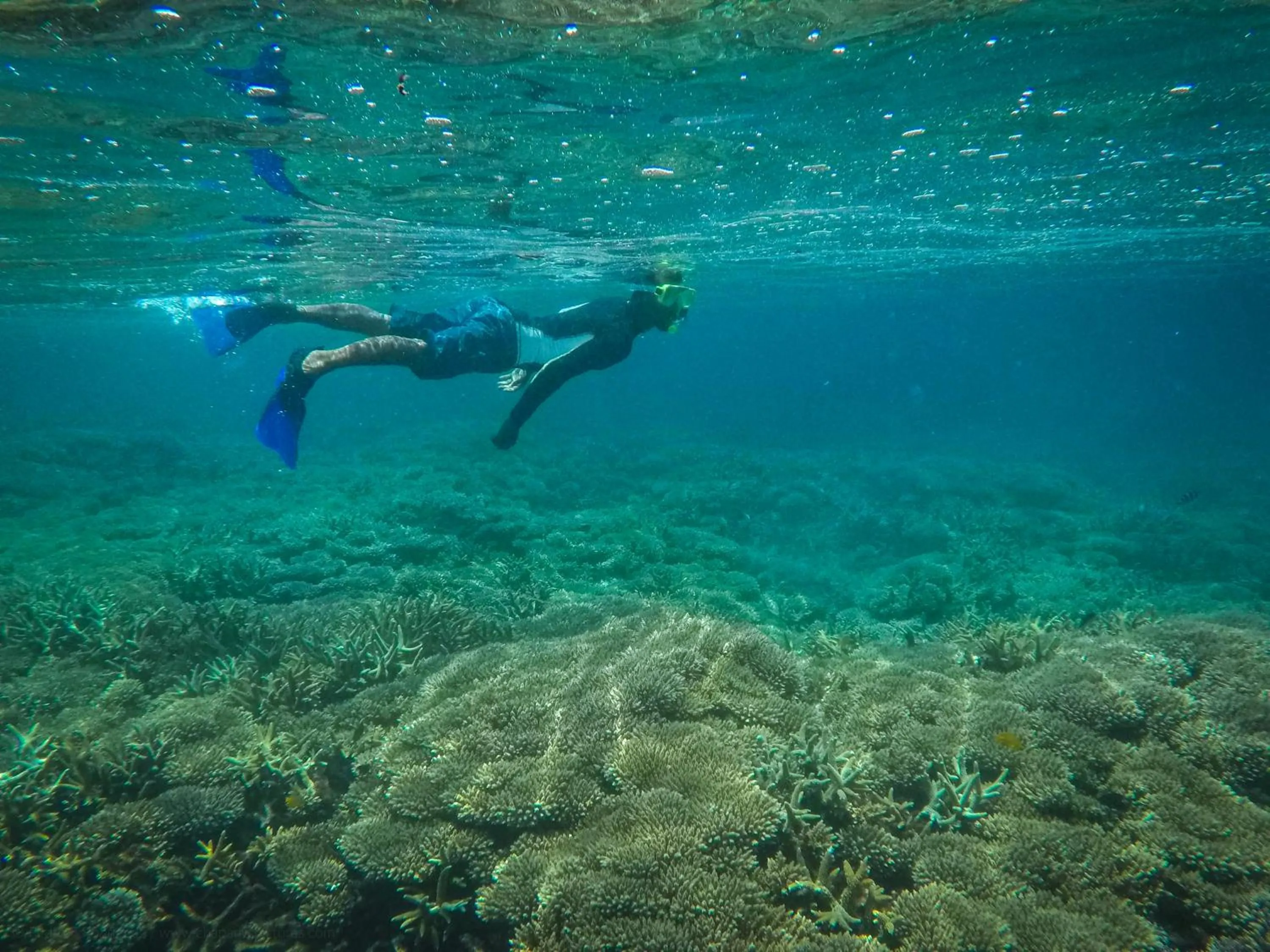 Activities in Alunan Resort