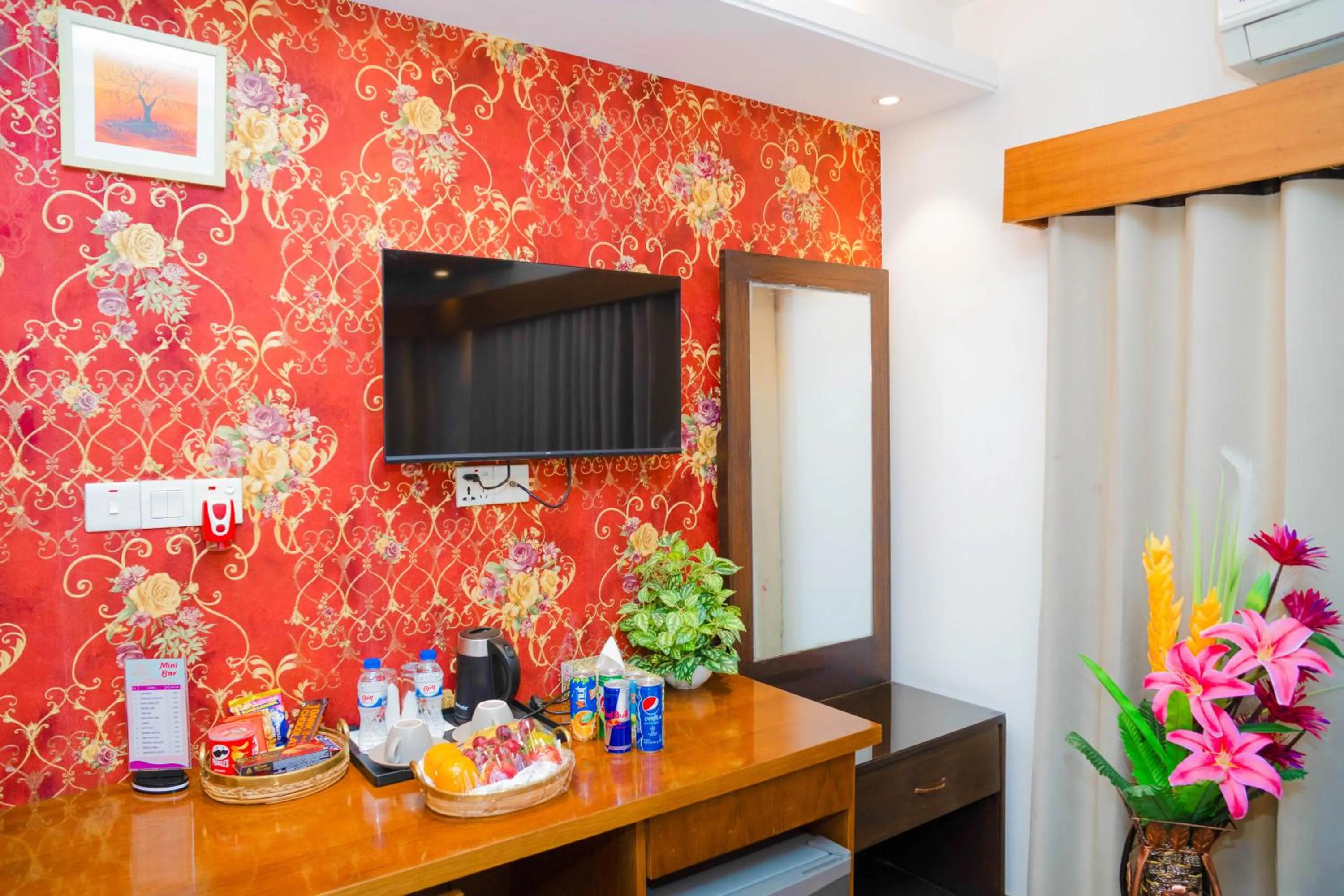 TV and multimedia in Hotel Air Inn Dhaka - Airport View